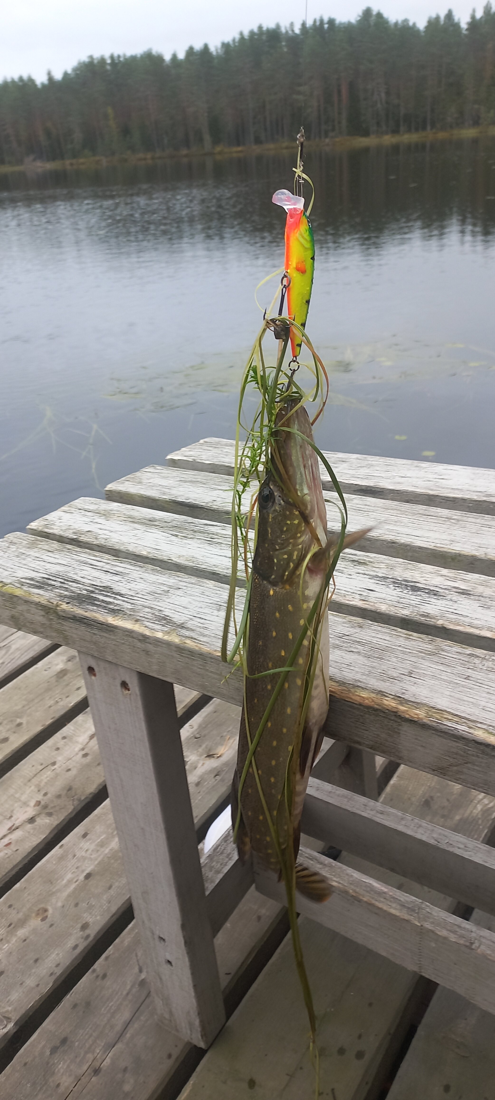 Фото Семиозерие