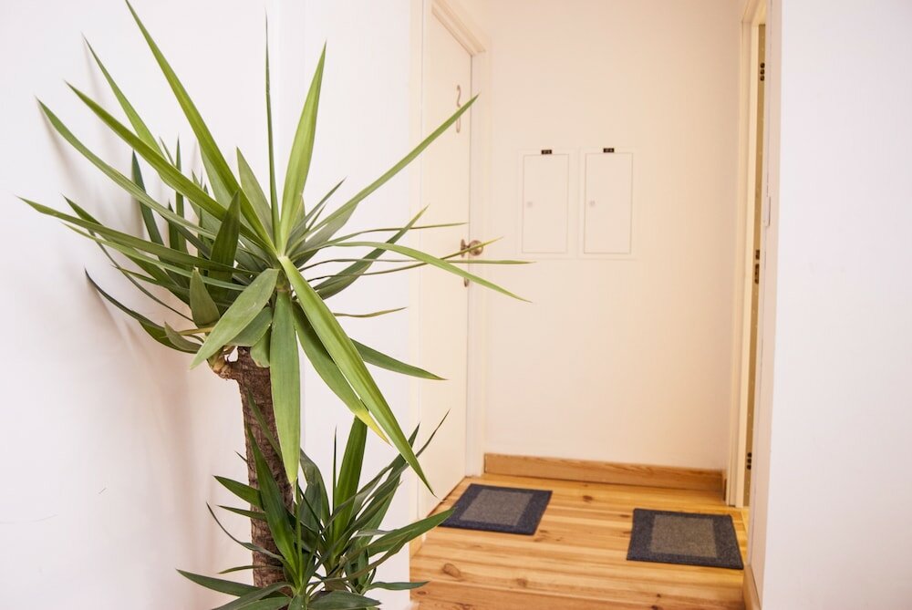 Фото Daora Lisbon Apartaments