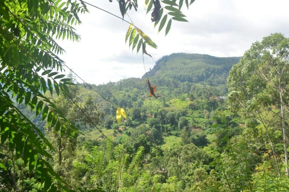Фото Cloudy Hill Cottage
