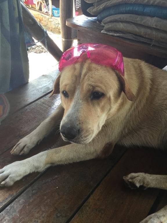Фото Lonely Beach Pool Resort