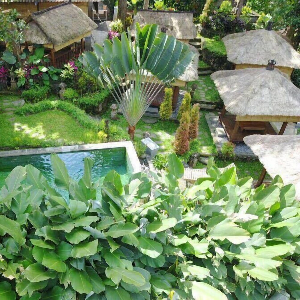 Фото Liyer House