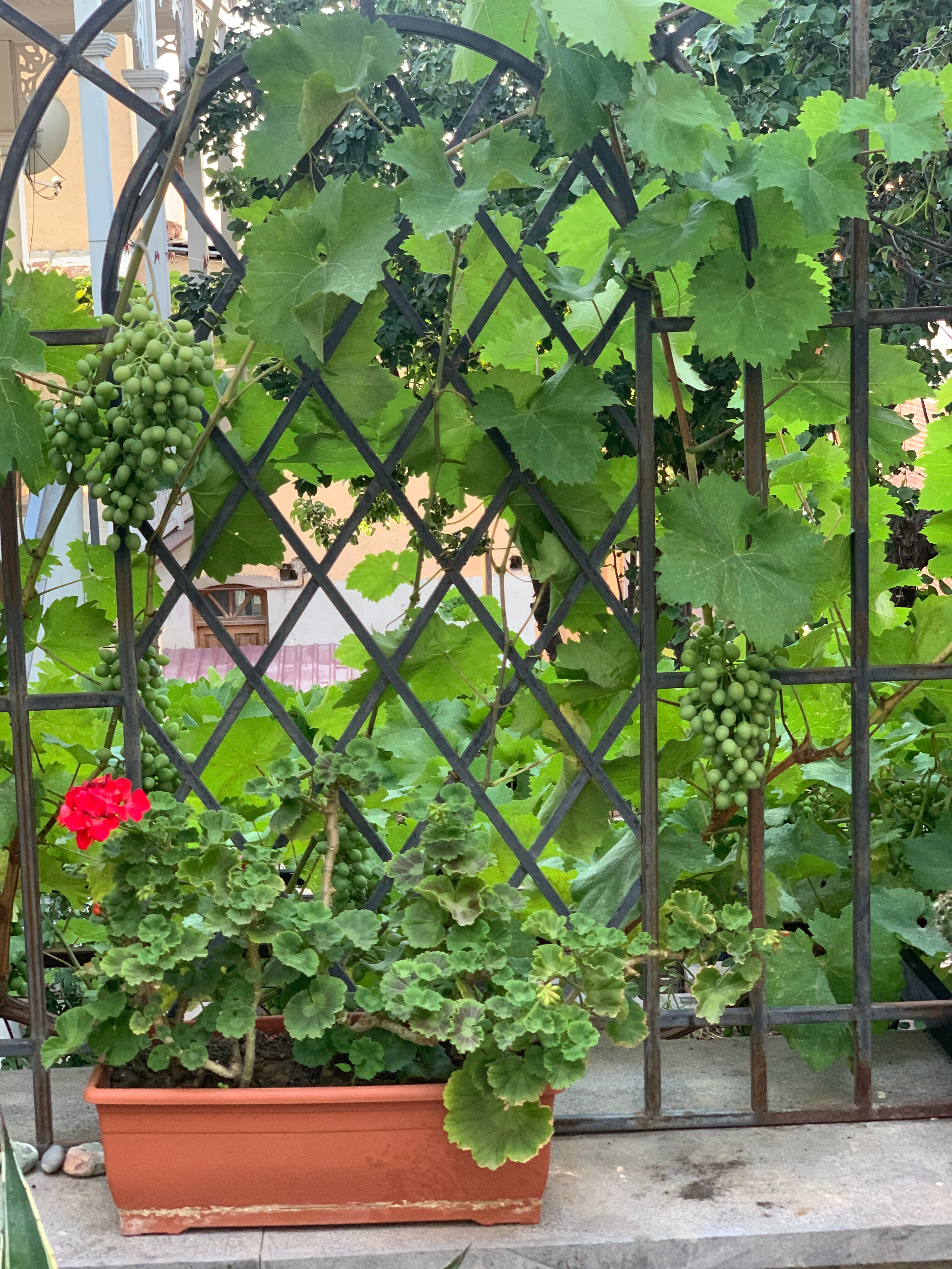 Фото Мини-Отель Betlemi Old Town