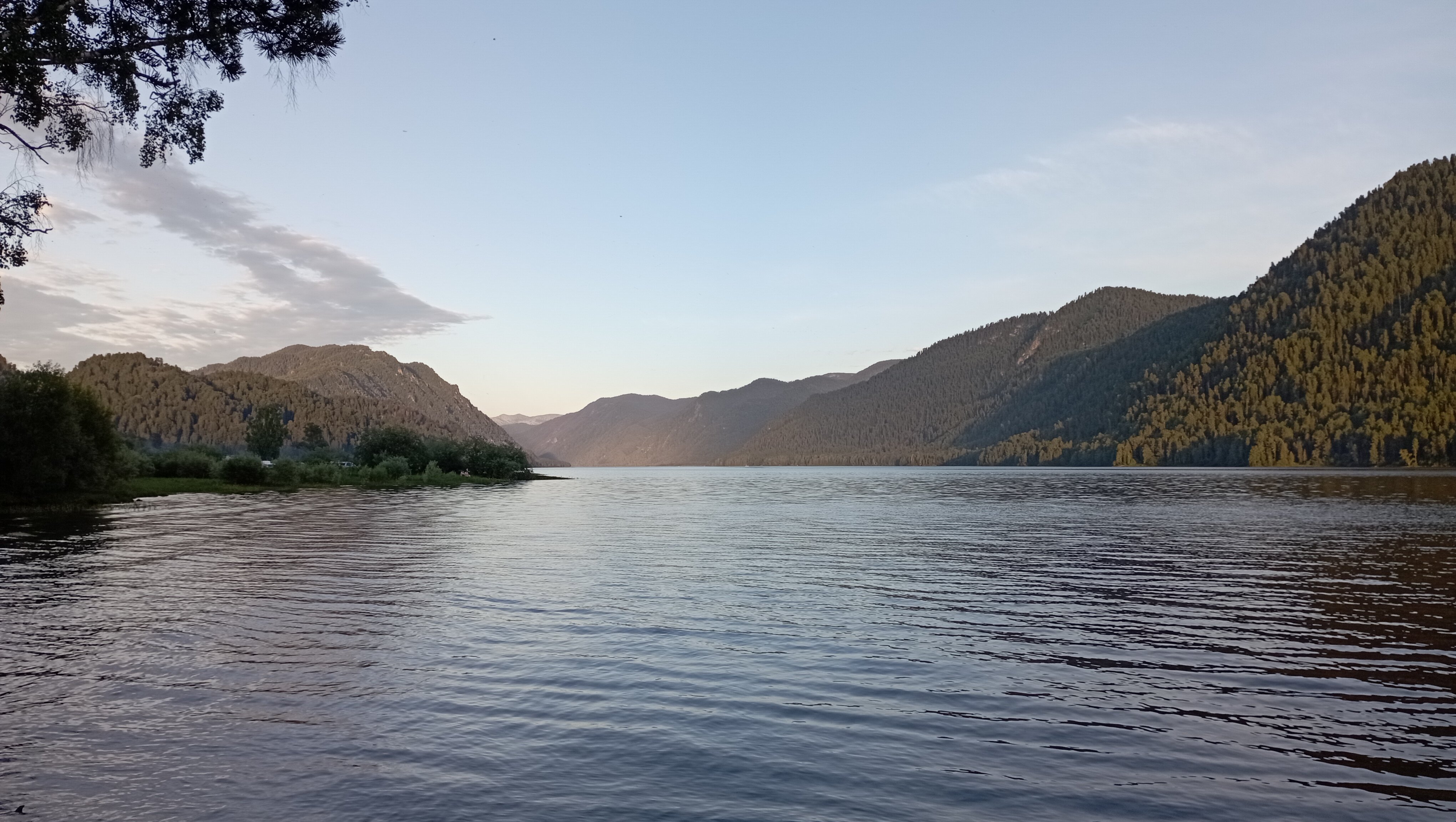 Фото Кедровый берег