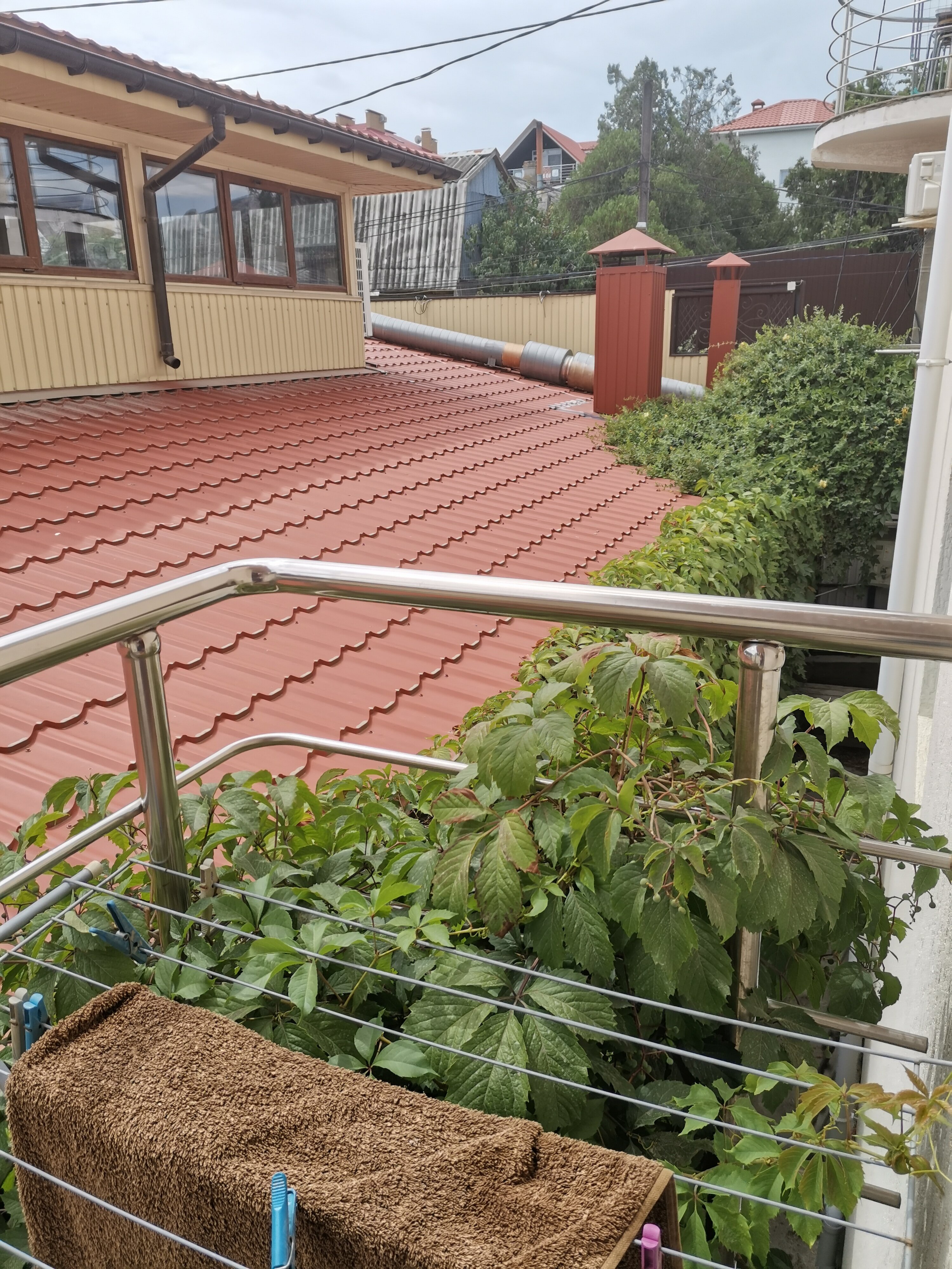 Фото Шампань