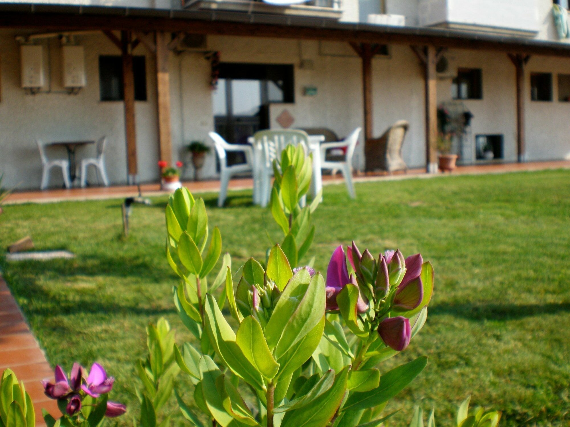 Фото Residenza Isabella