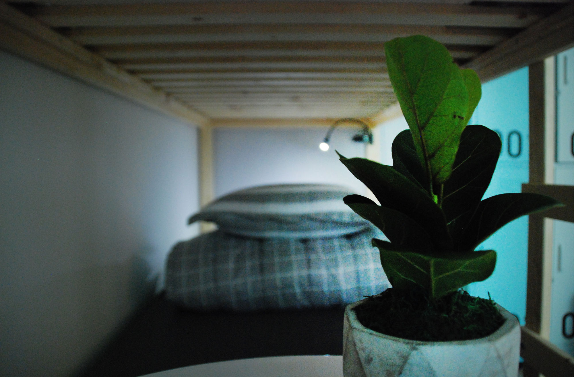 Фото K-Grand Hostel Gangnam1