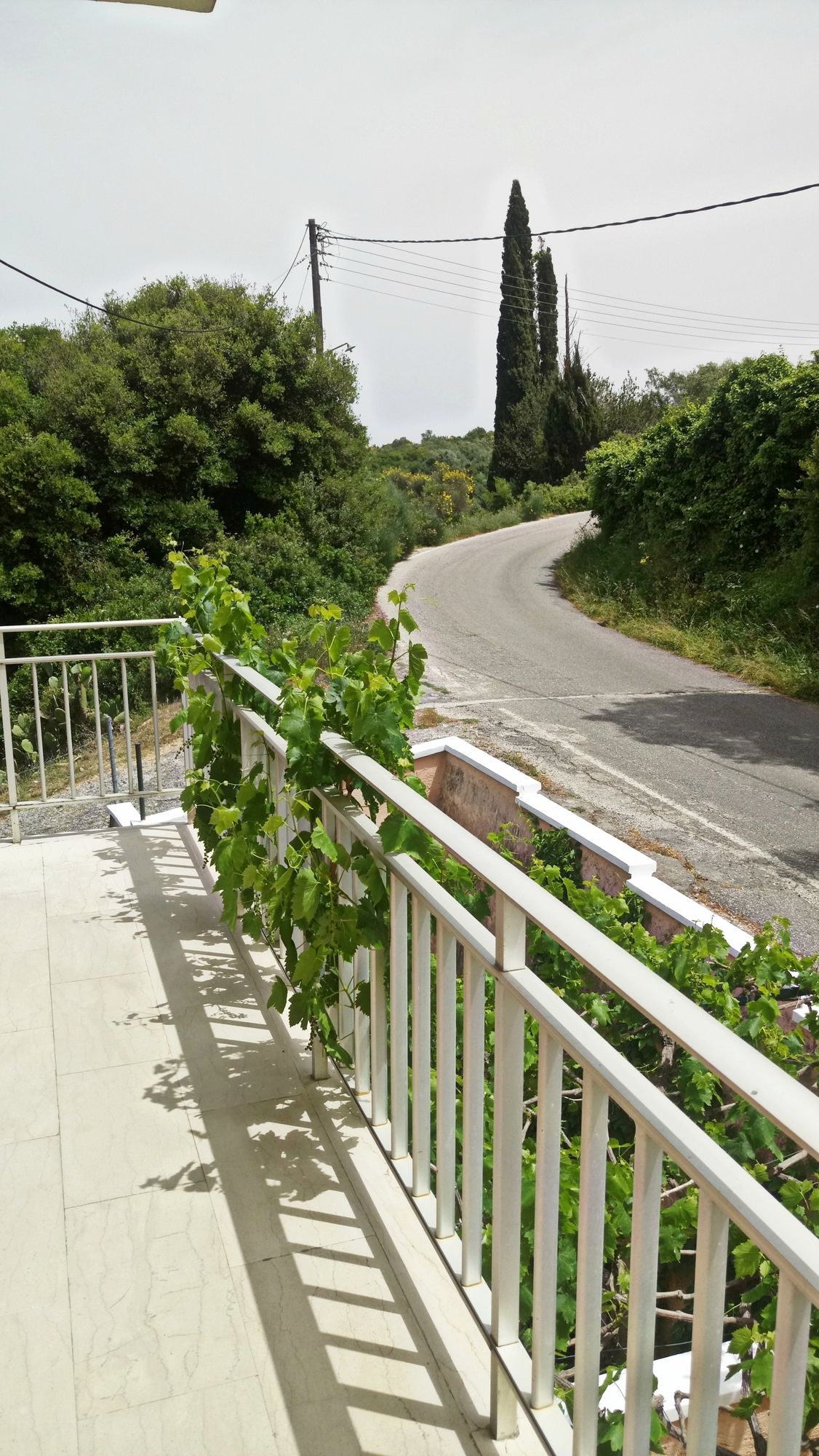 Фото Corfu Villa Rainbow