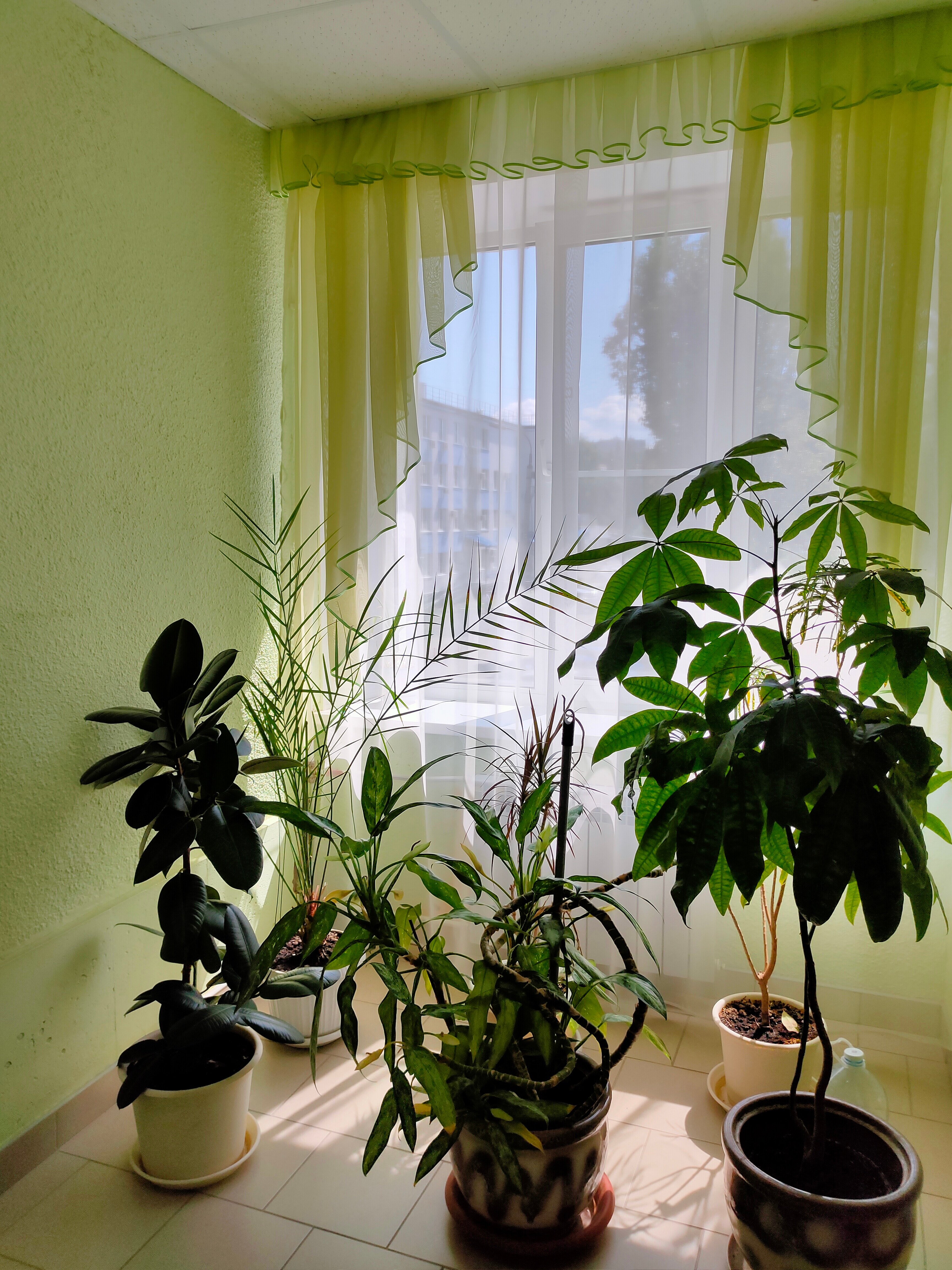 Фото Фрунзенец