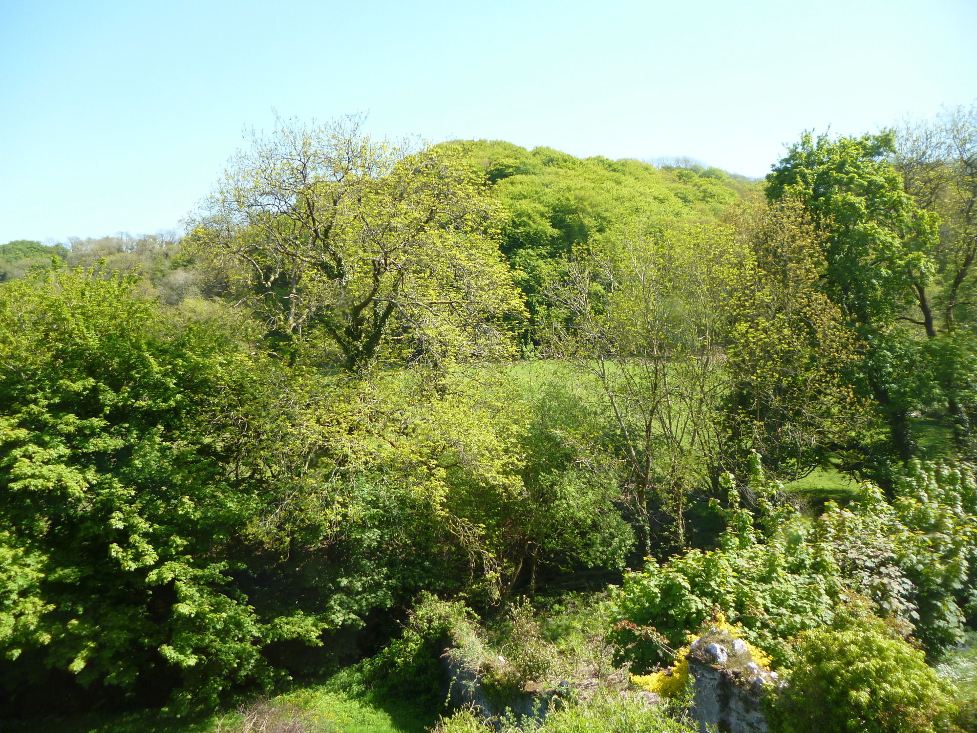 Фото Score Valley Country House