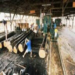 Samudra Pasifik Orman Ürünleri - Firex Kömürü (İstanbul, Ümraniye, Yukarı Dudullu Mah., Kuriş Sok., 5B), natural resource extraction