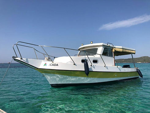 Boats, motor boats, yachts Kayamarin, Izmir, photo