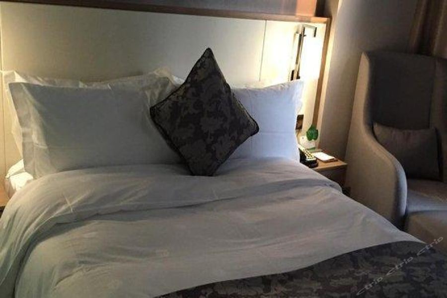 Фото Shenzhen Hongdu Hotel