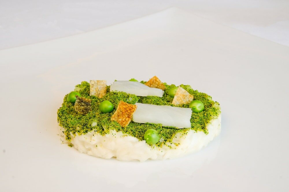 Фото Sina The Gray