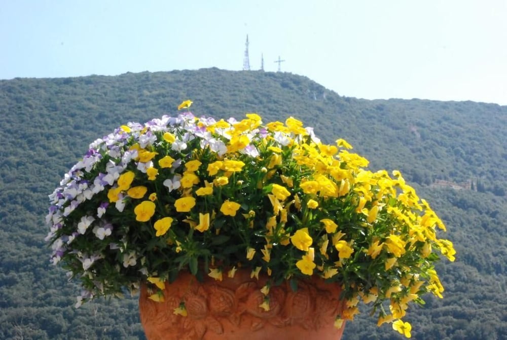 Фото Palazzo Leti Residenza d'Epoca