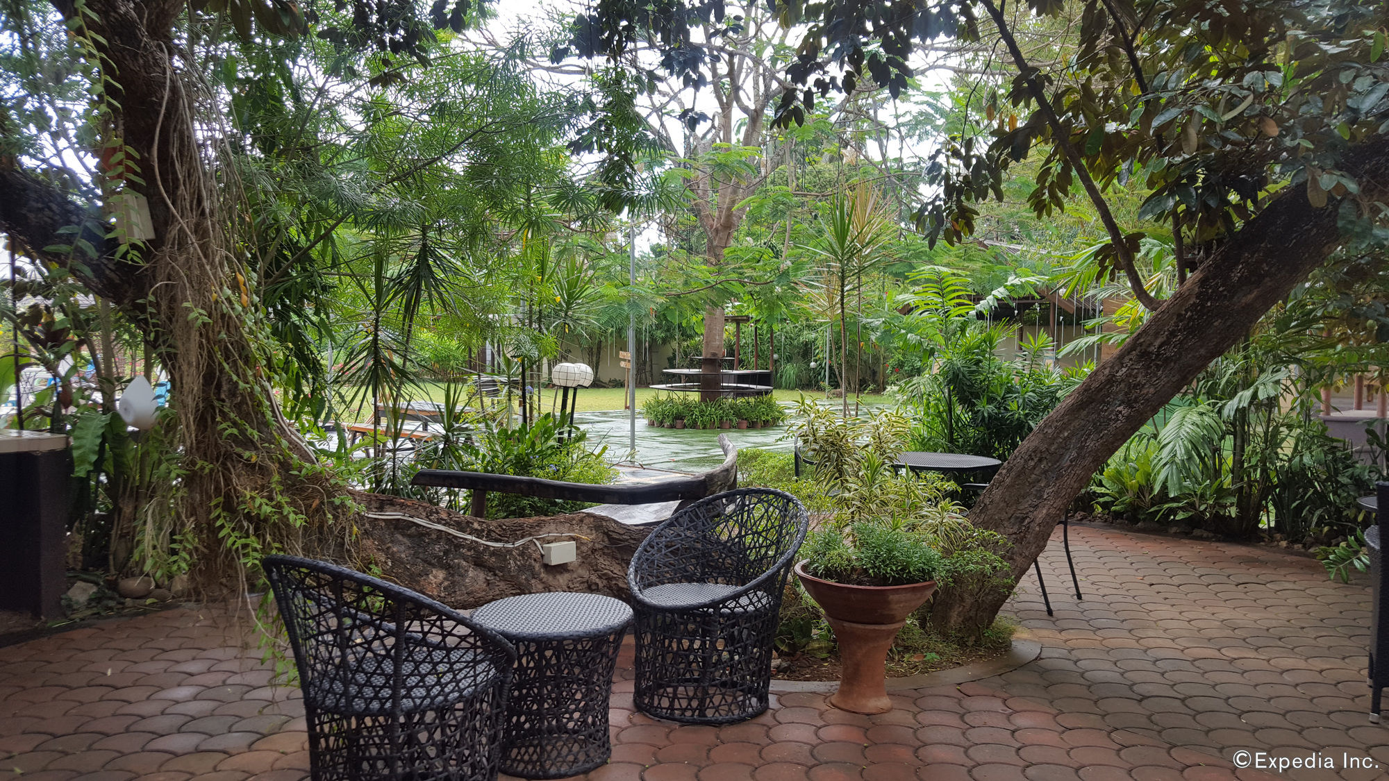 Фото Ponce de Leon Garden Resort