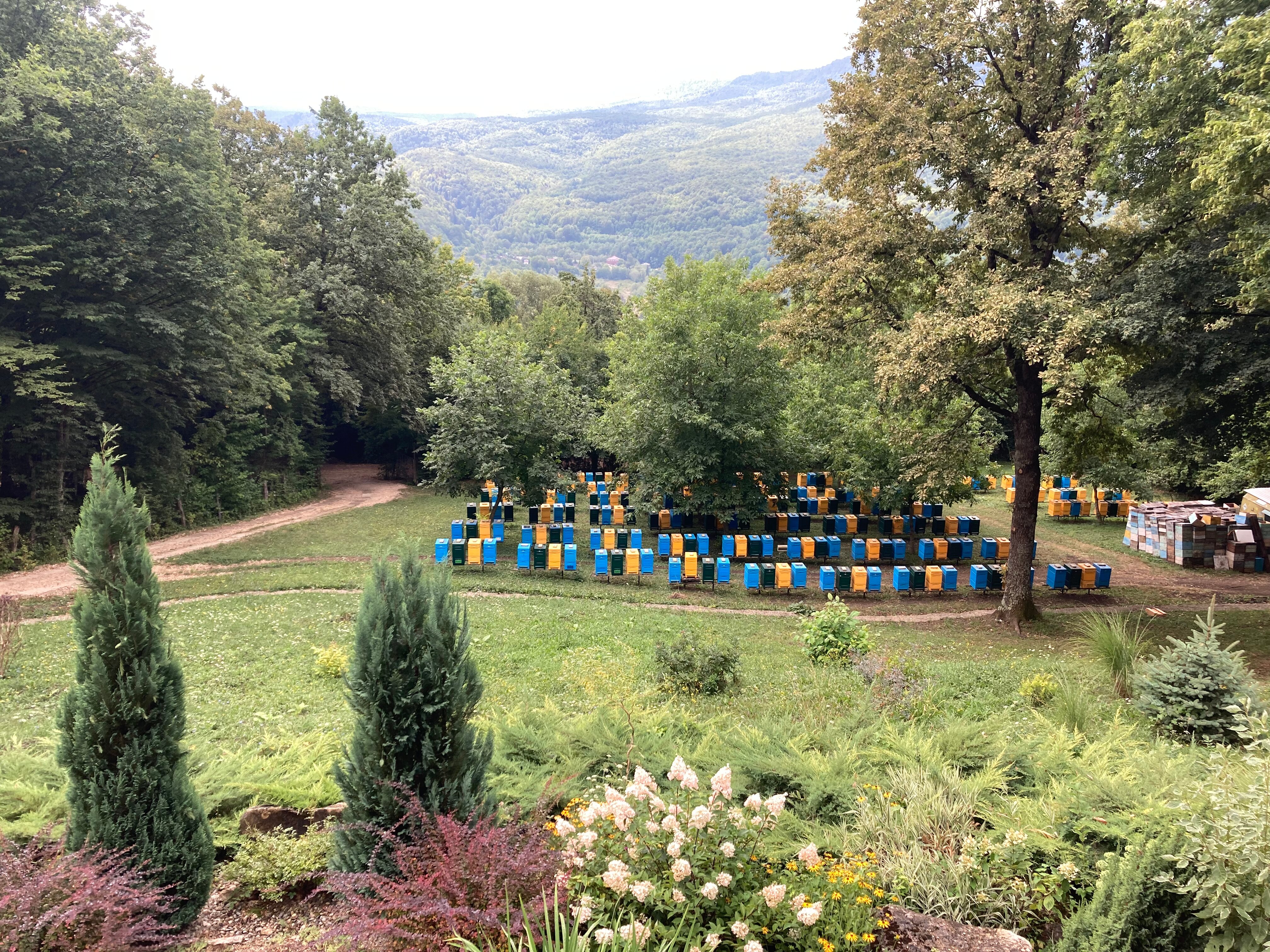 Фото 4 Сезона