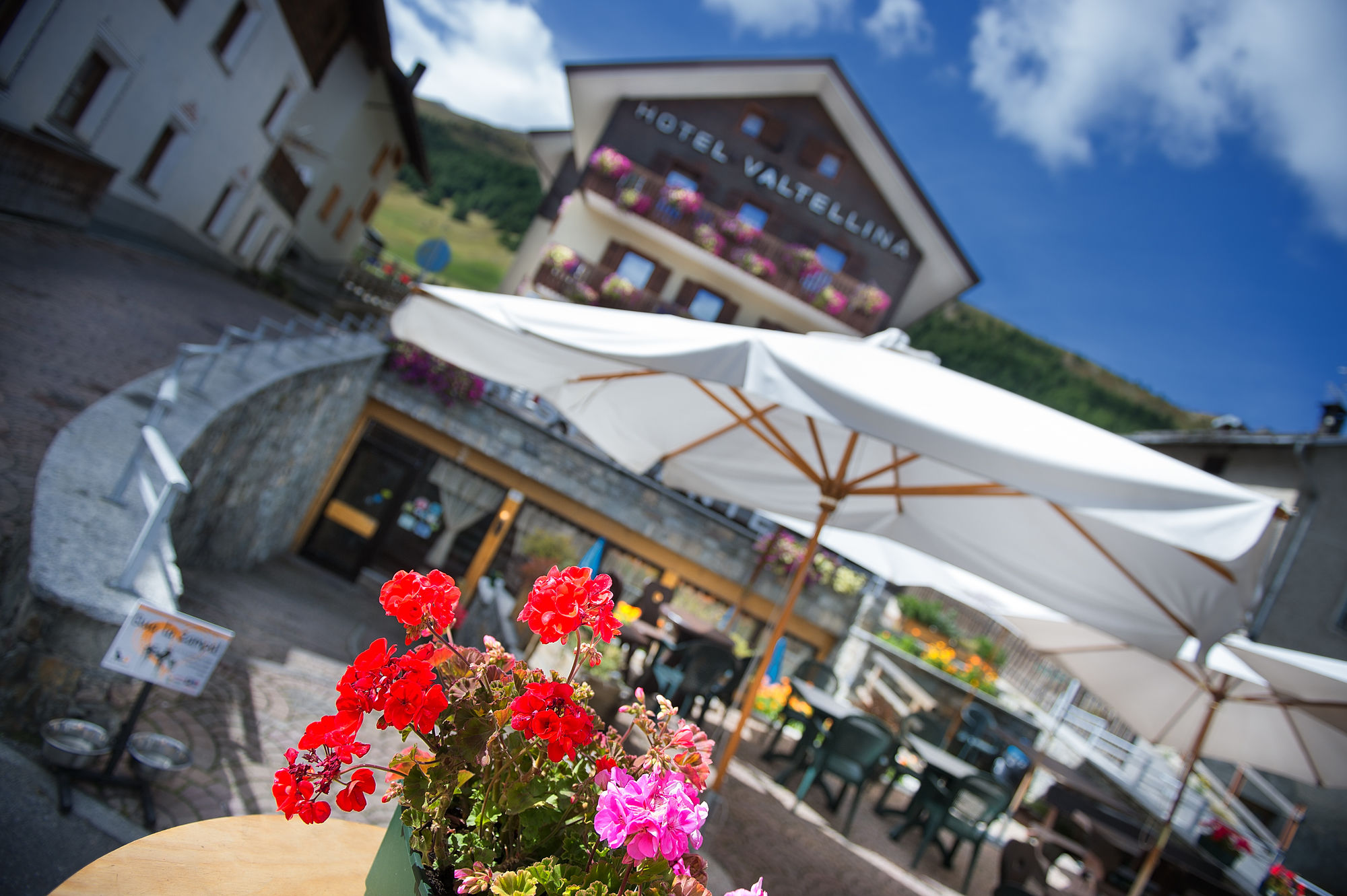 Фото Hotel Valtellina