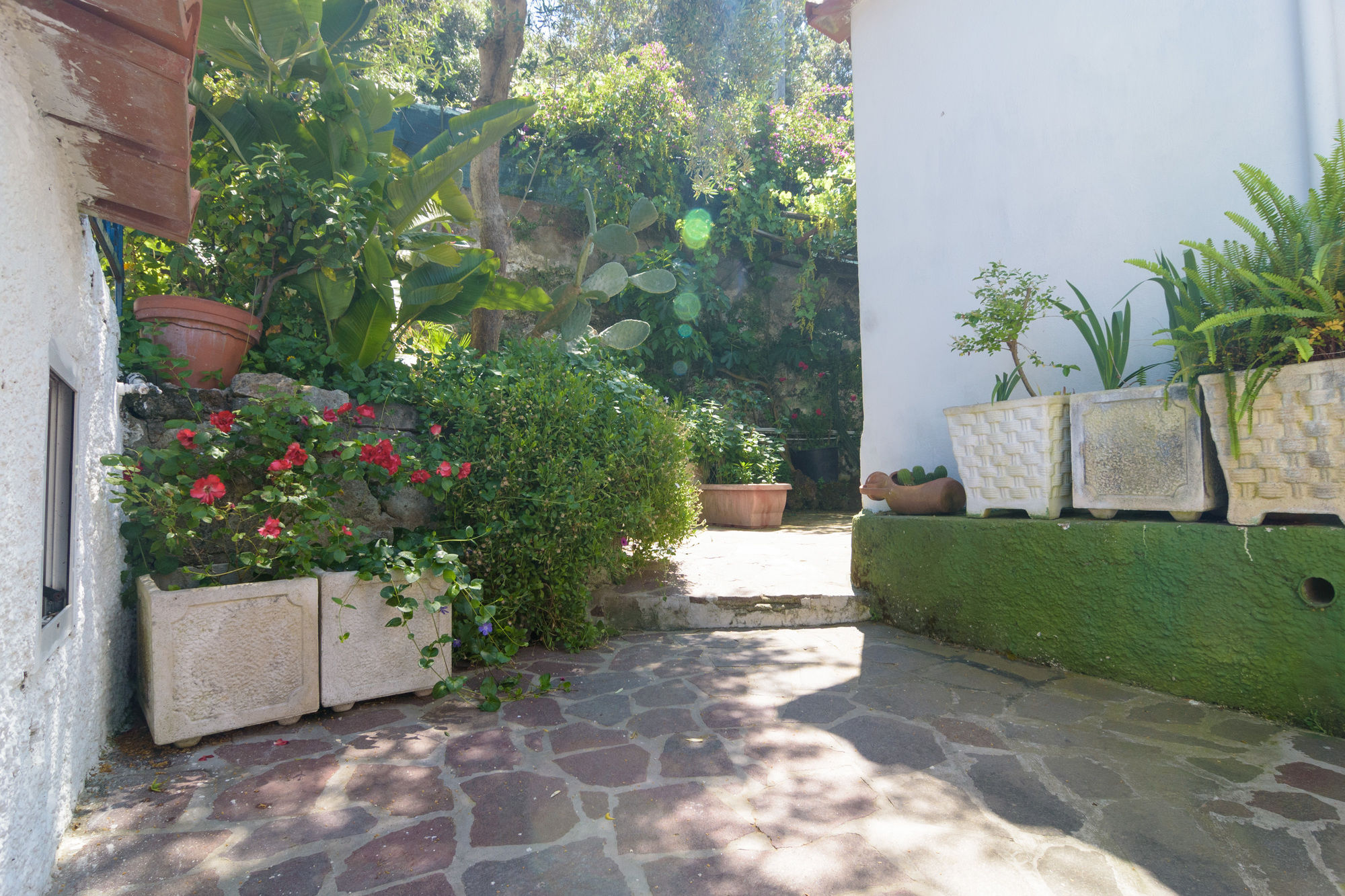 Фото Villa Fiorentina