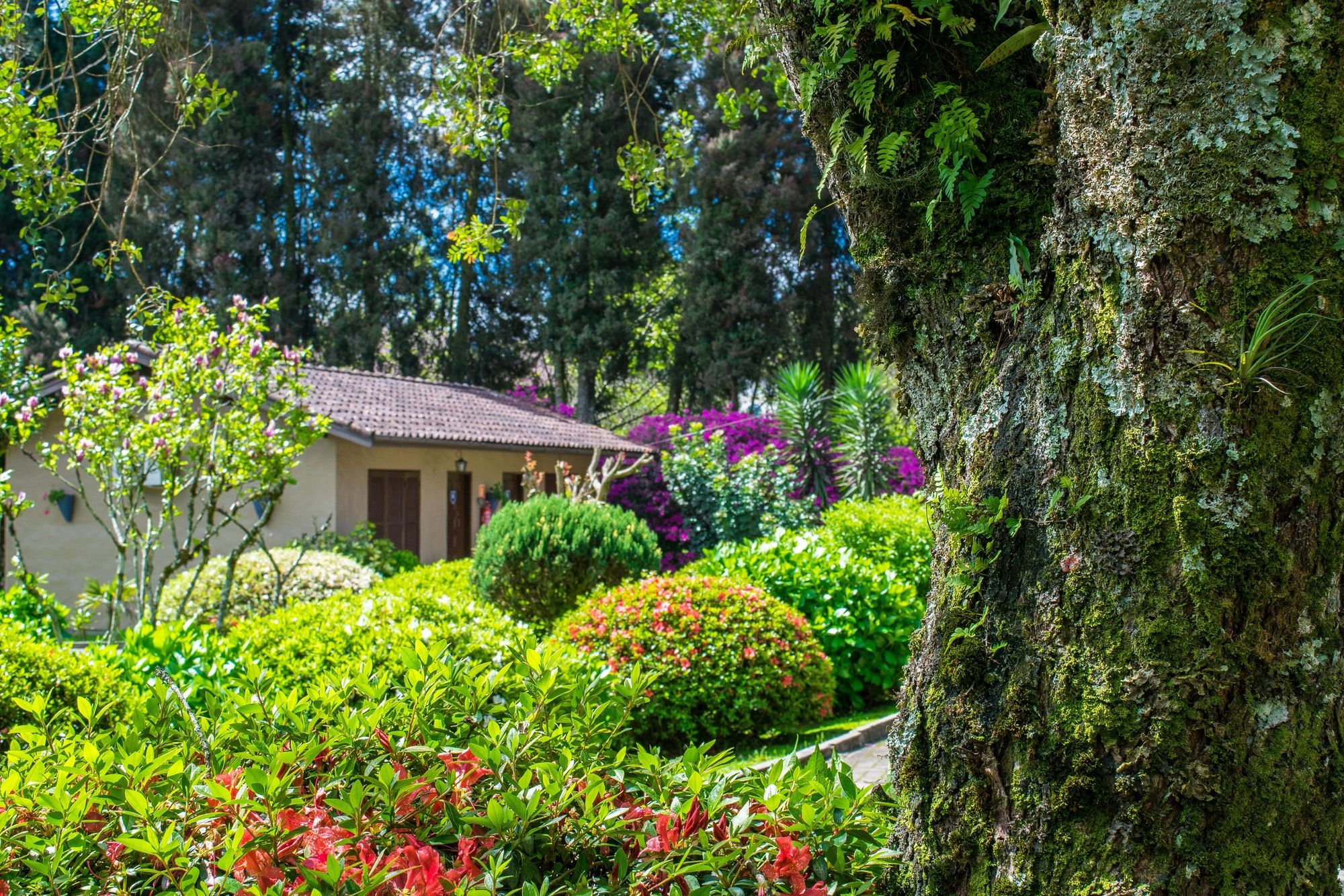 Фото Hotel Fioreze Quero Quero