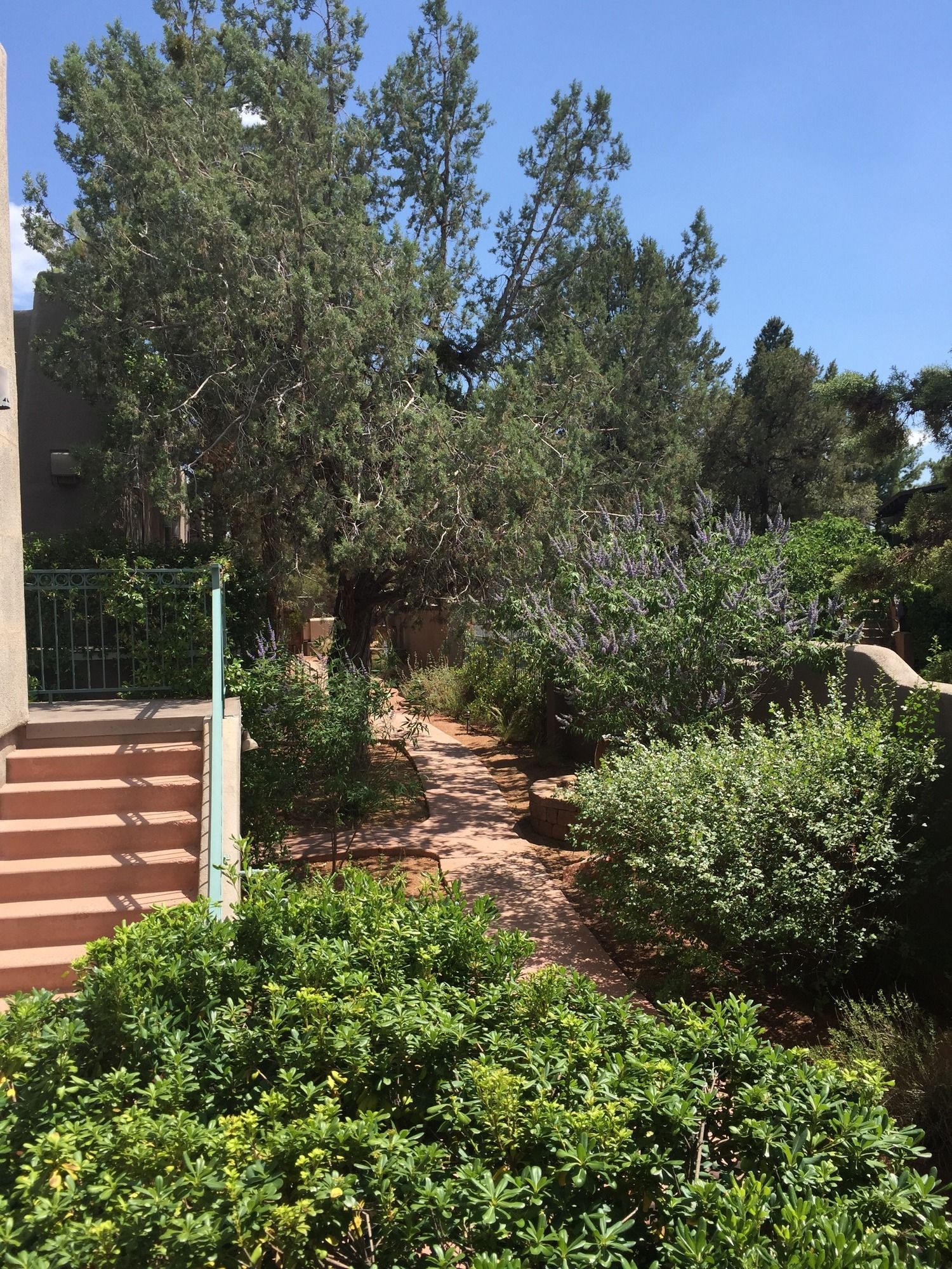 Фото Southwest Inn at Sedona