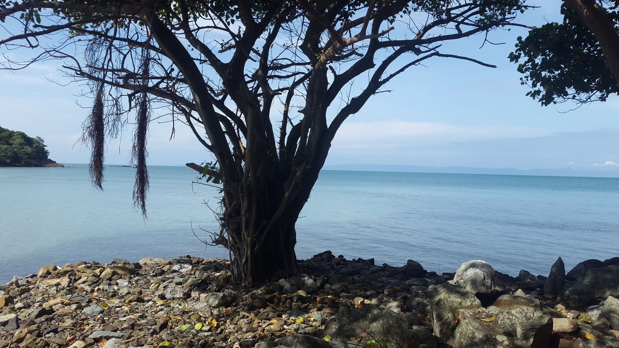 Фото River Hotel