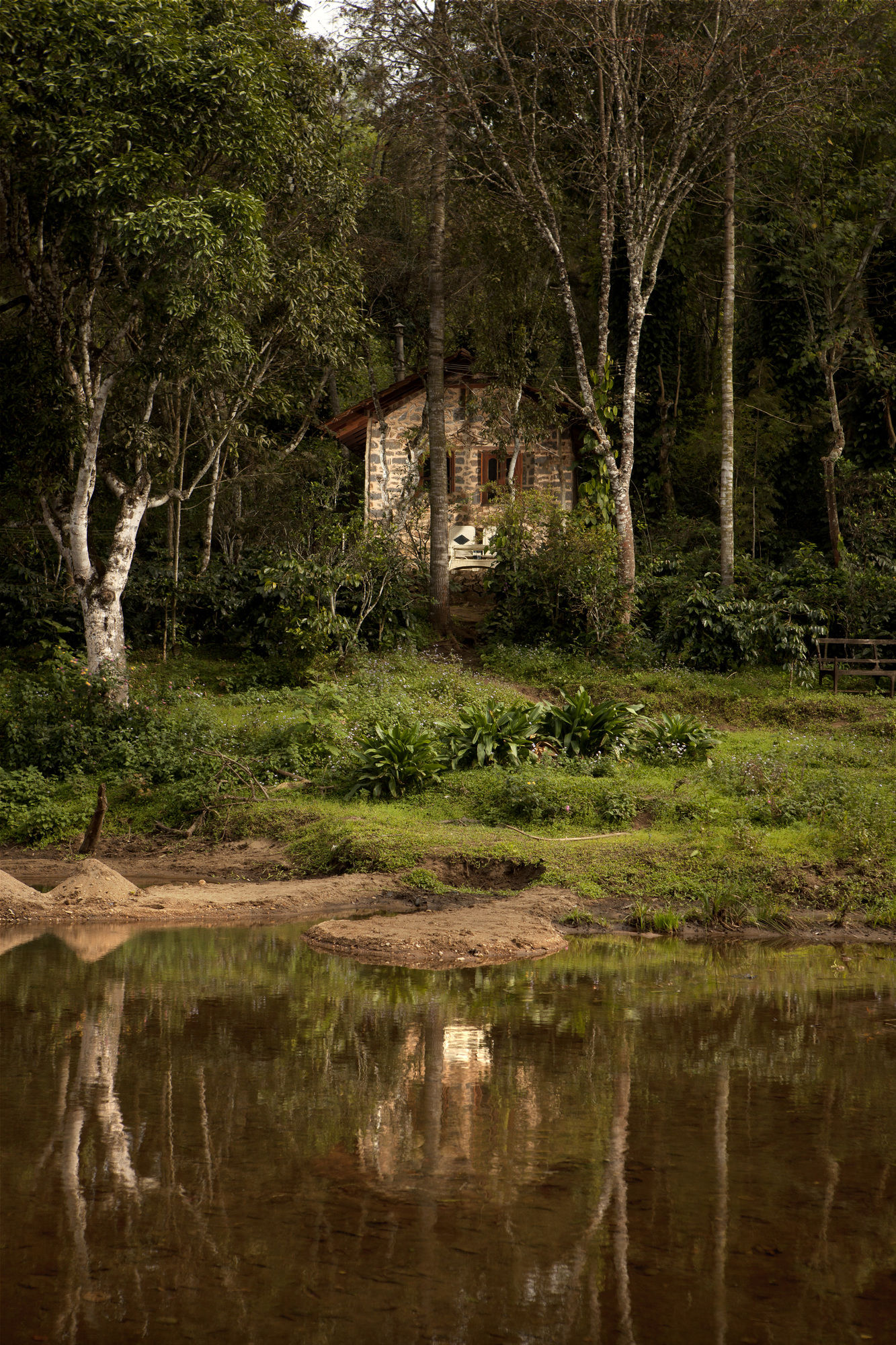 Фото Elephant Valley