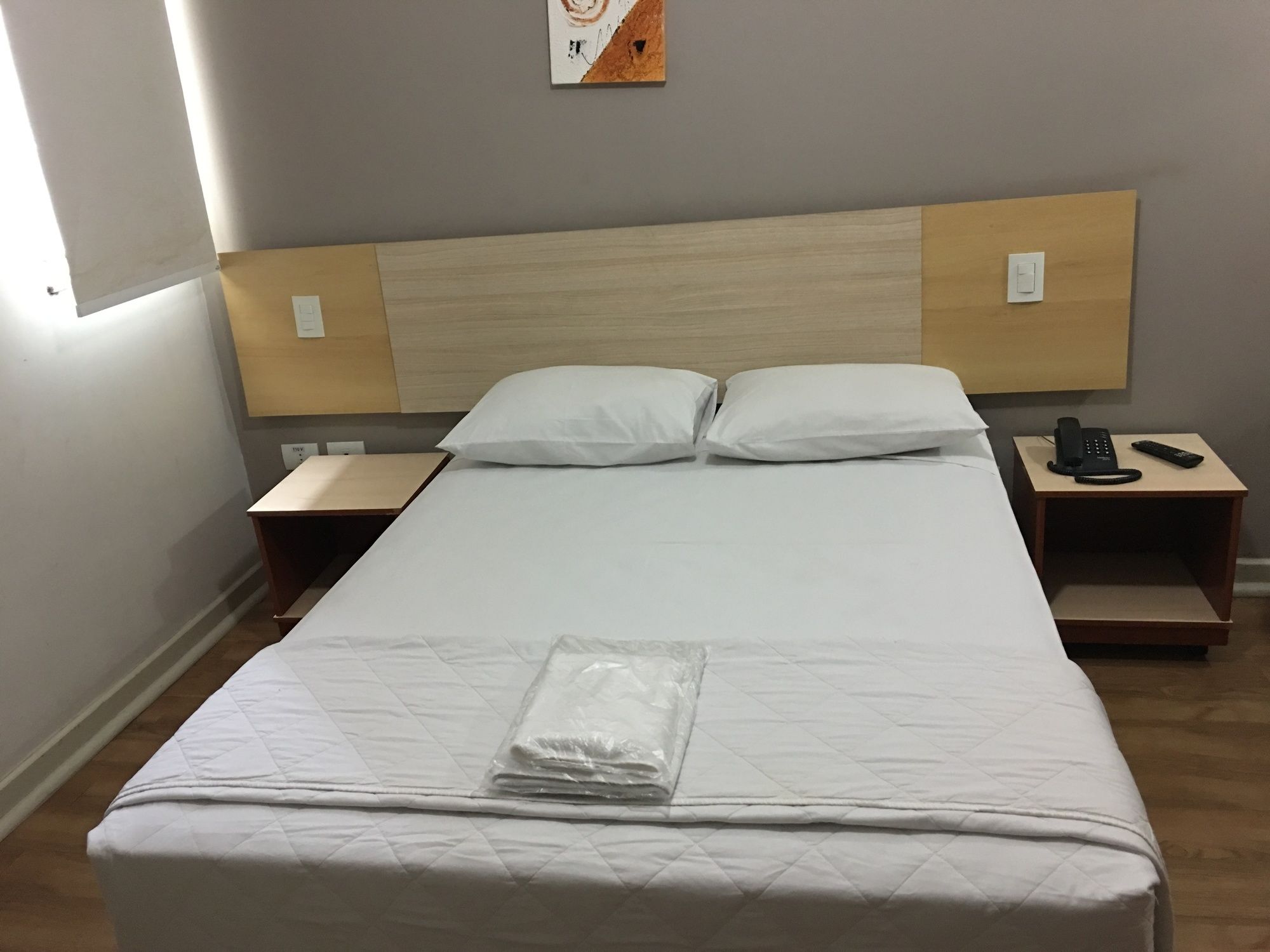 Фото Hotel Piratininga