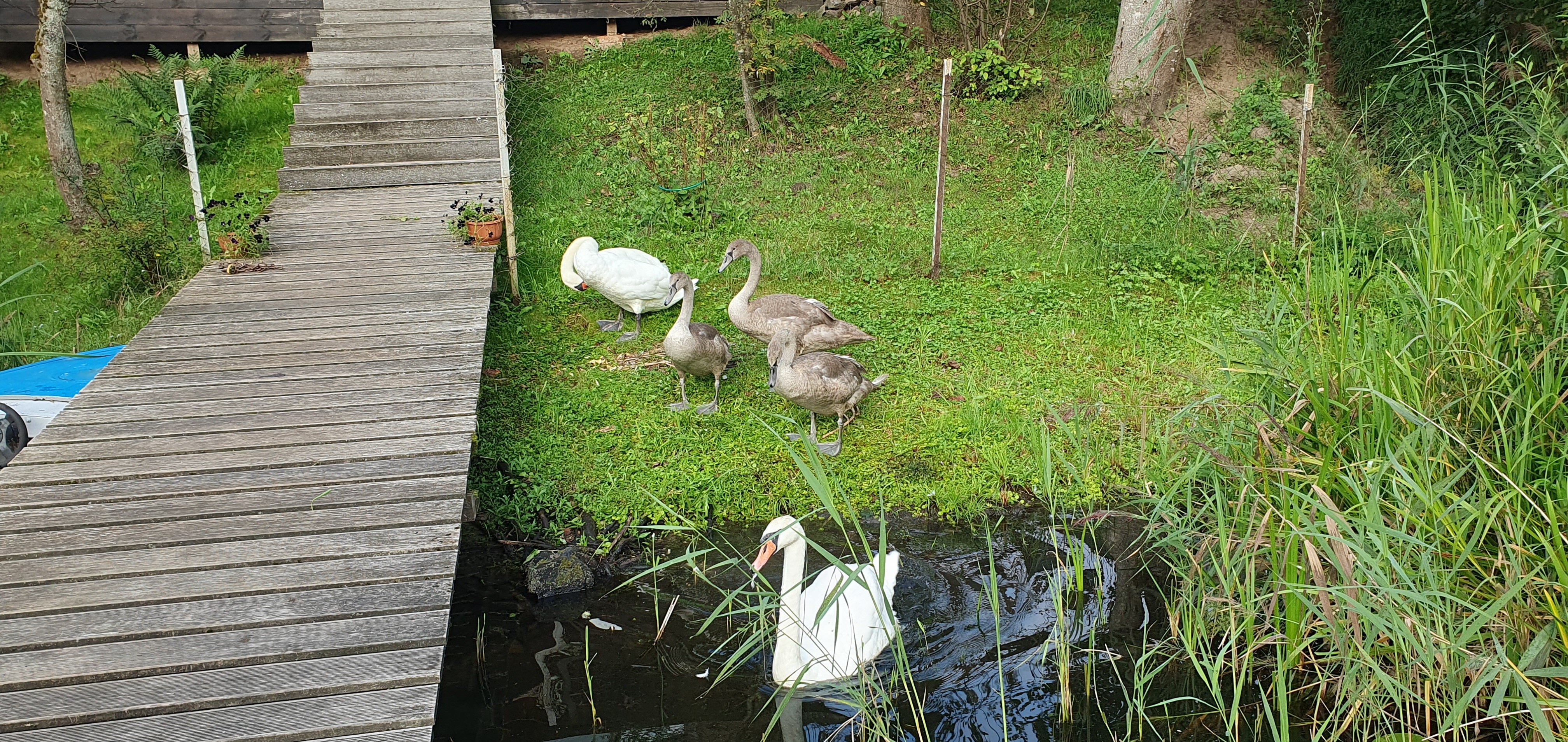 Фото Дом у реки