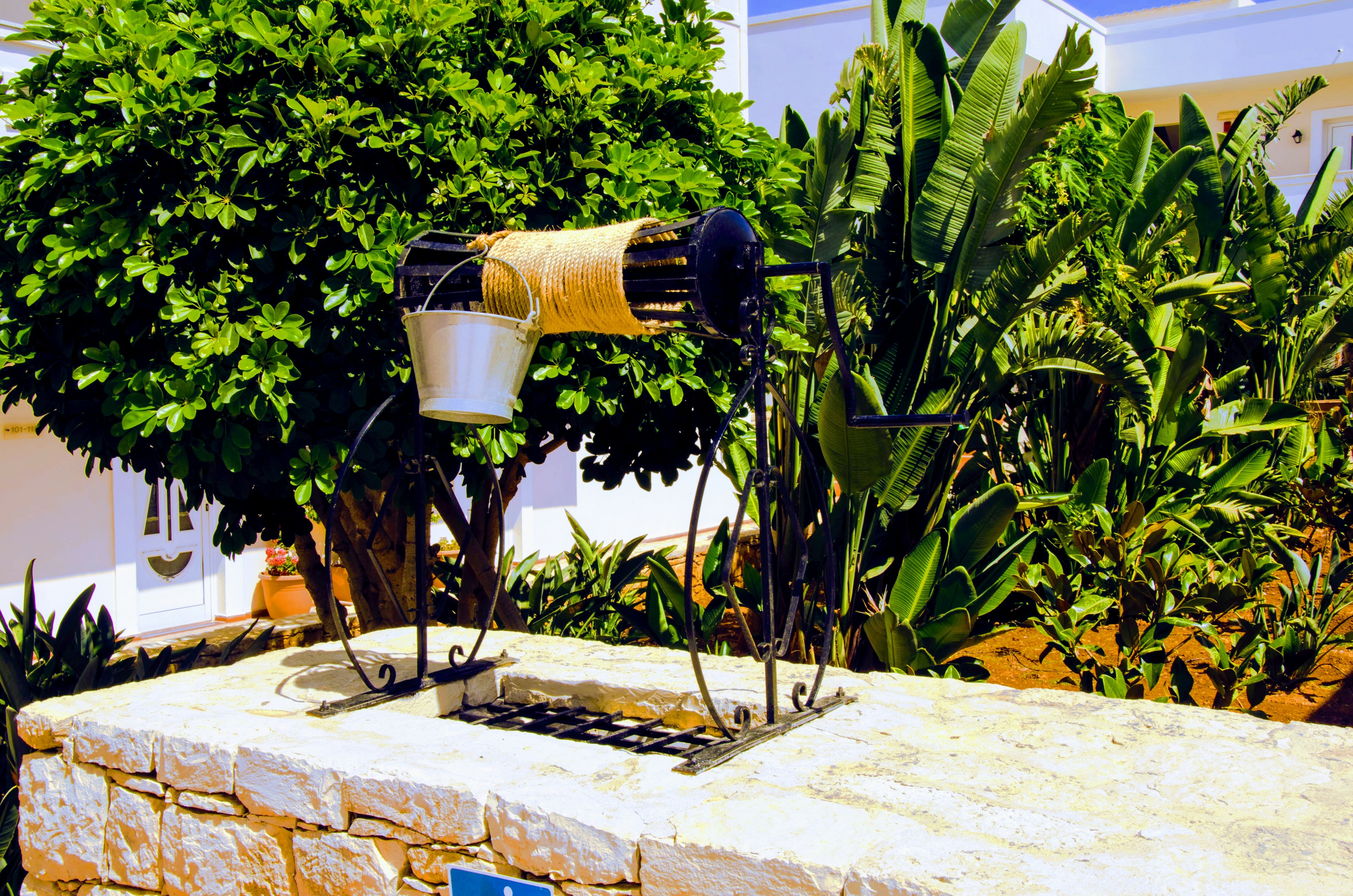 Фото Yiannis Manos