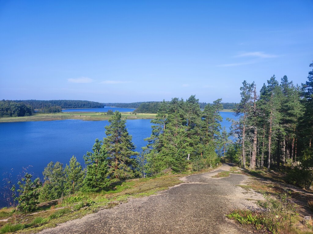 Dağ zirvəsi Гора Лысая, Sankt‑Peterburq və Leninqrad vilayəti, foto