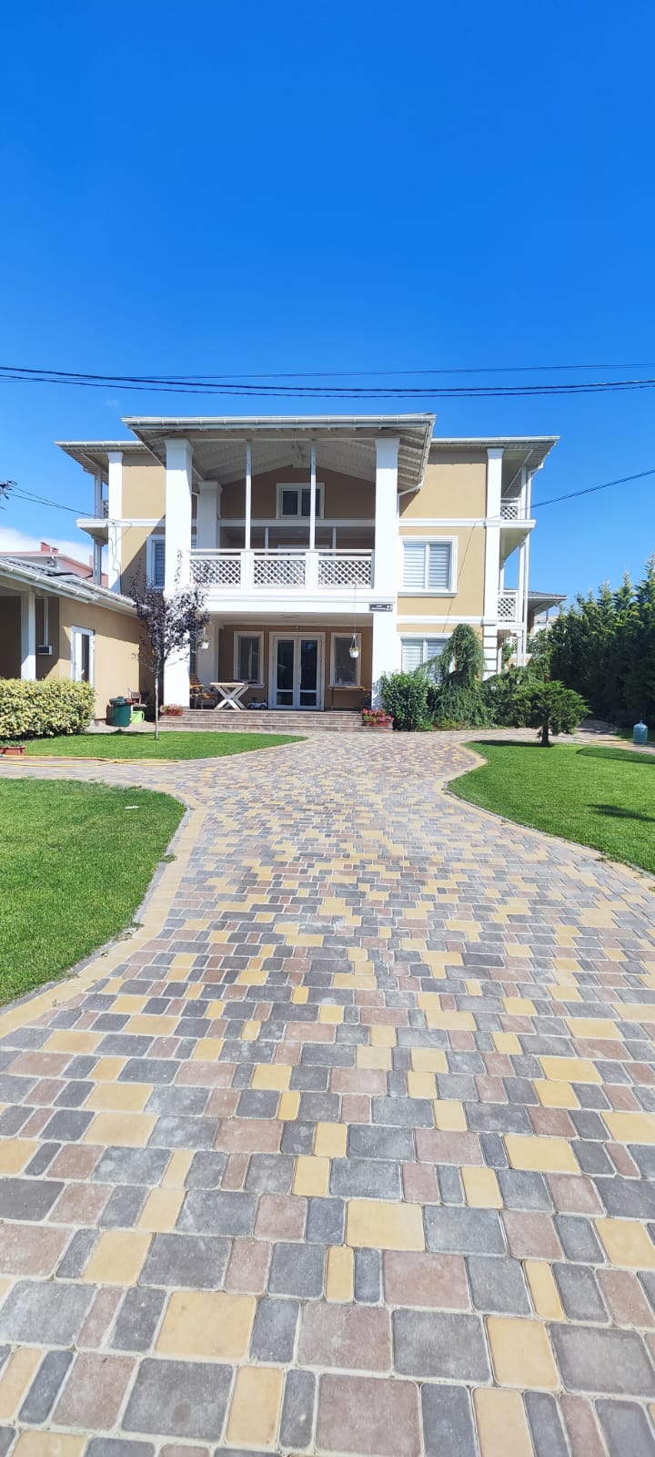 Фото Каштан