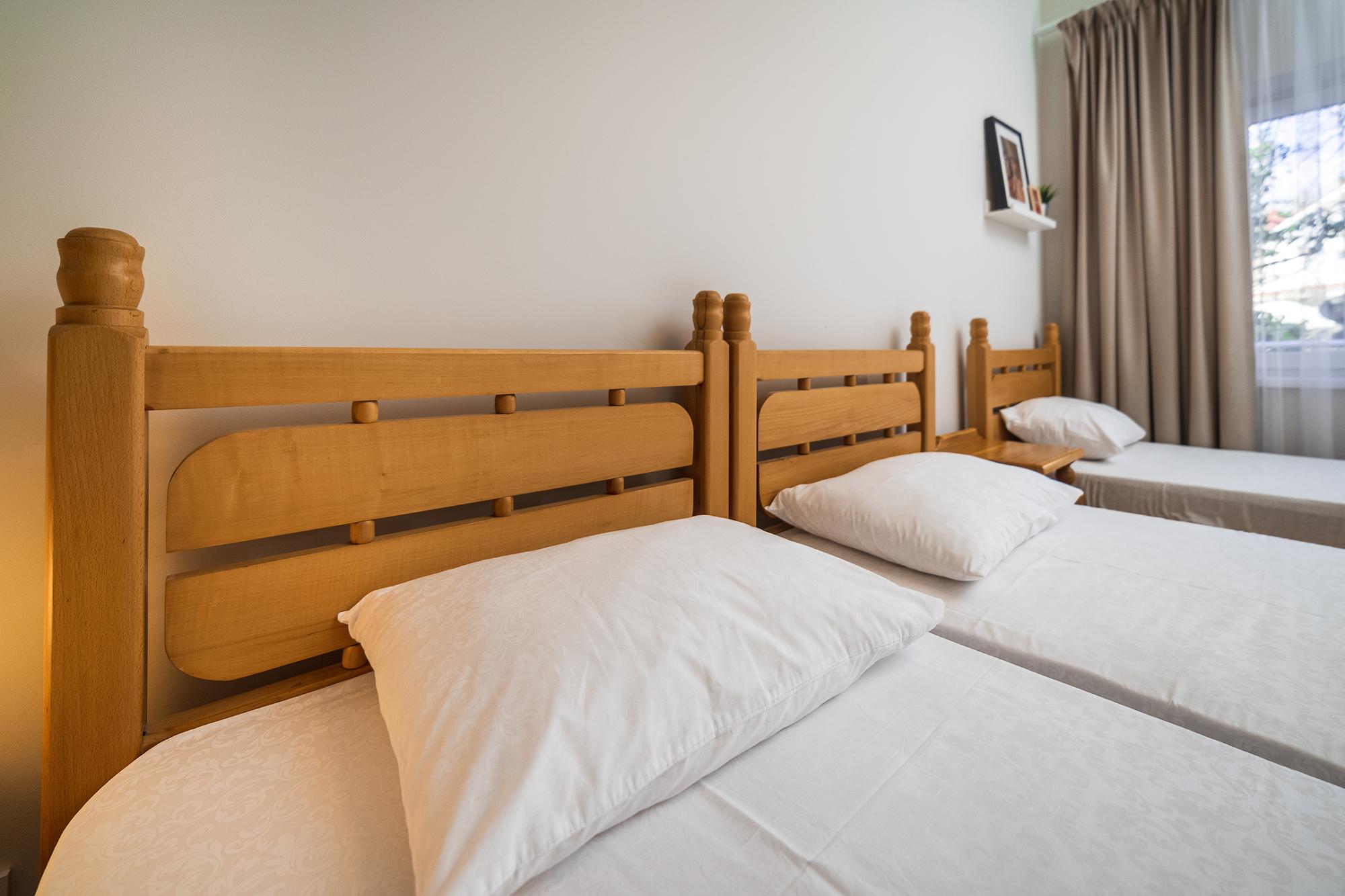 Фото Абрикос