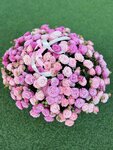 Versal (Pushkinskaya Street, 190), flowers and bouquets delivery