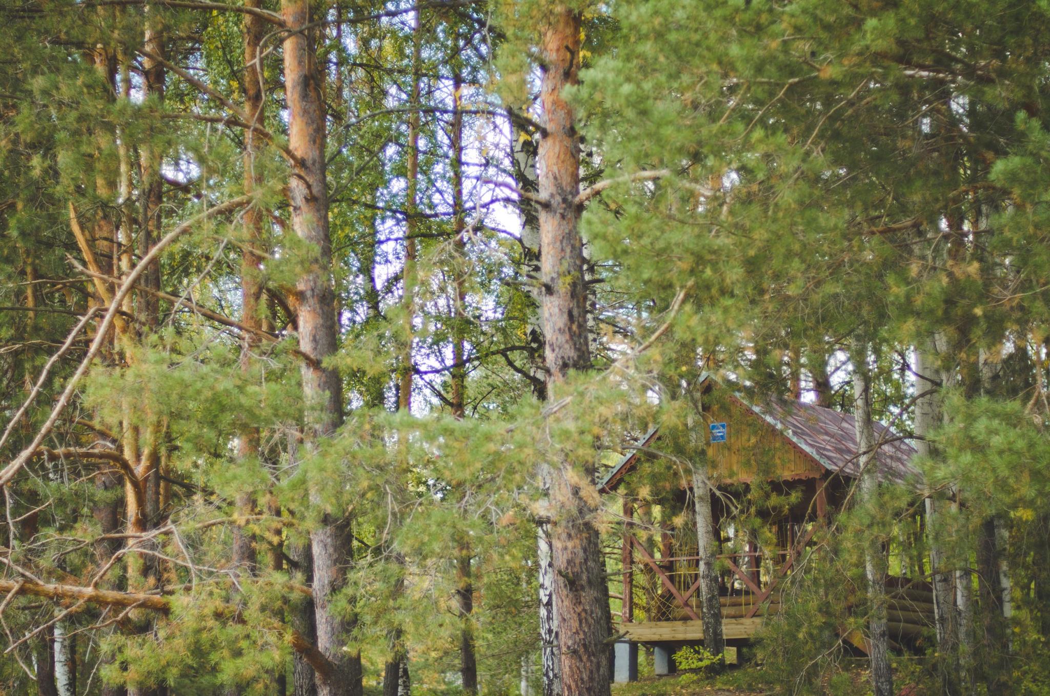 Фото Кипячий ключ