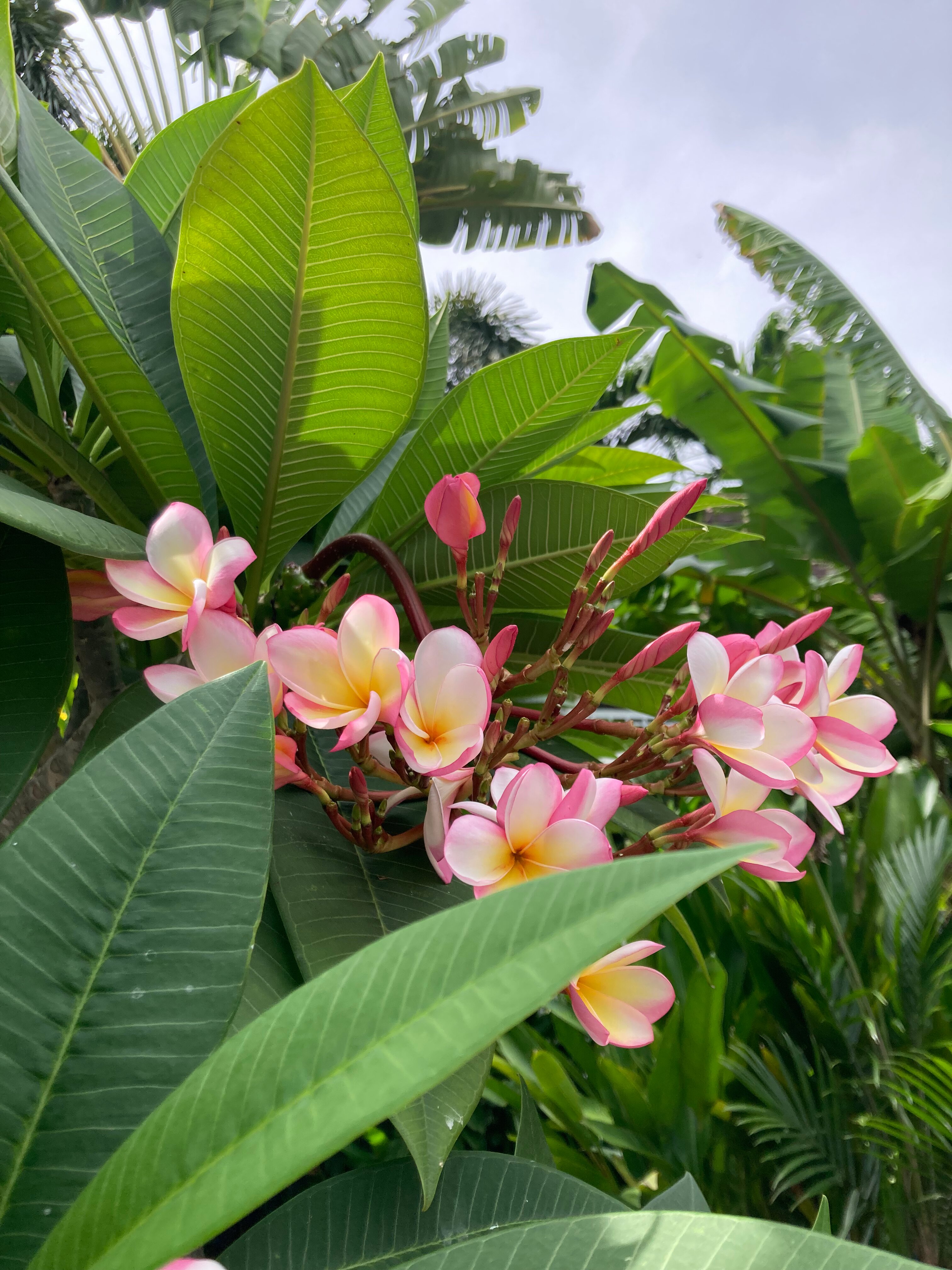 Фото Pullman Pattaya Hotel G