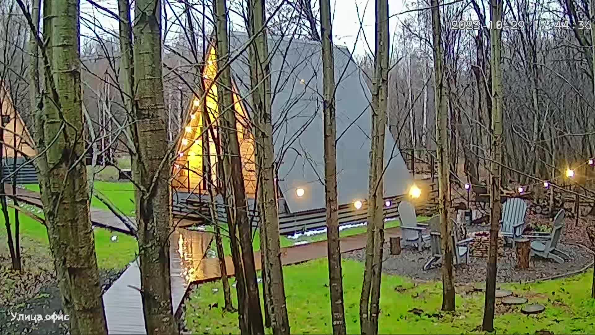 Фото Загорские дубки