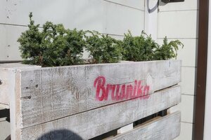 Хостел Брусника