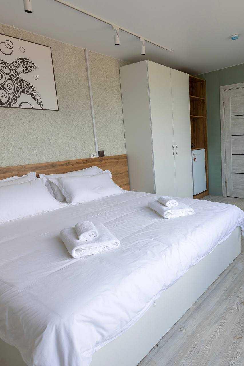 Фото Лазурная черепаха