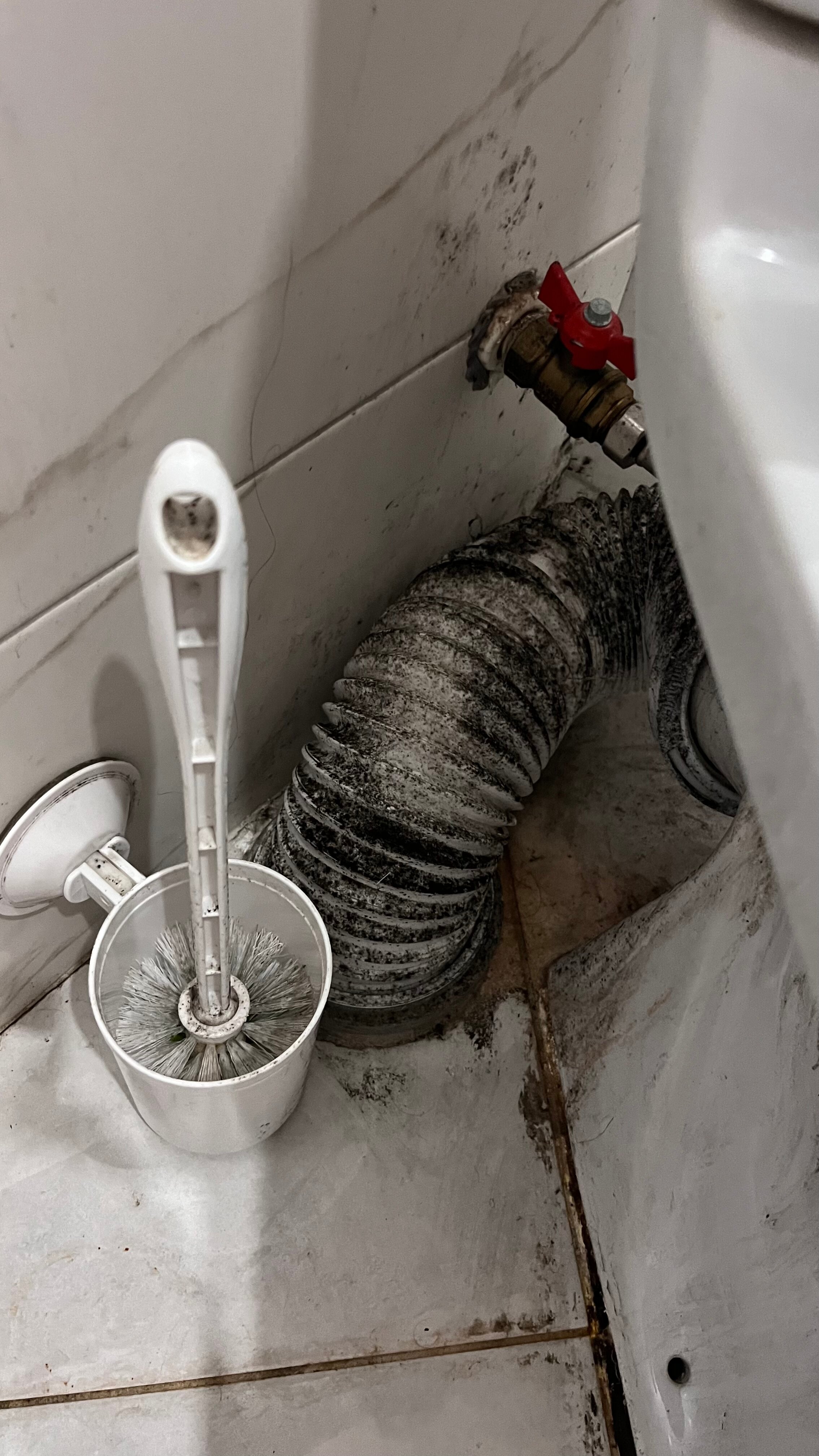 Фото Дубрава