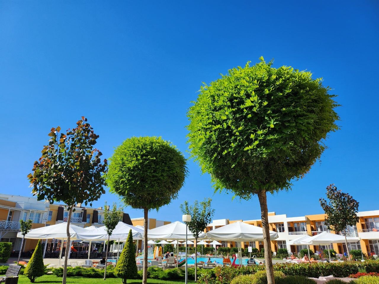 Фото Лето·отель