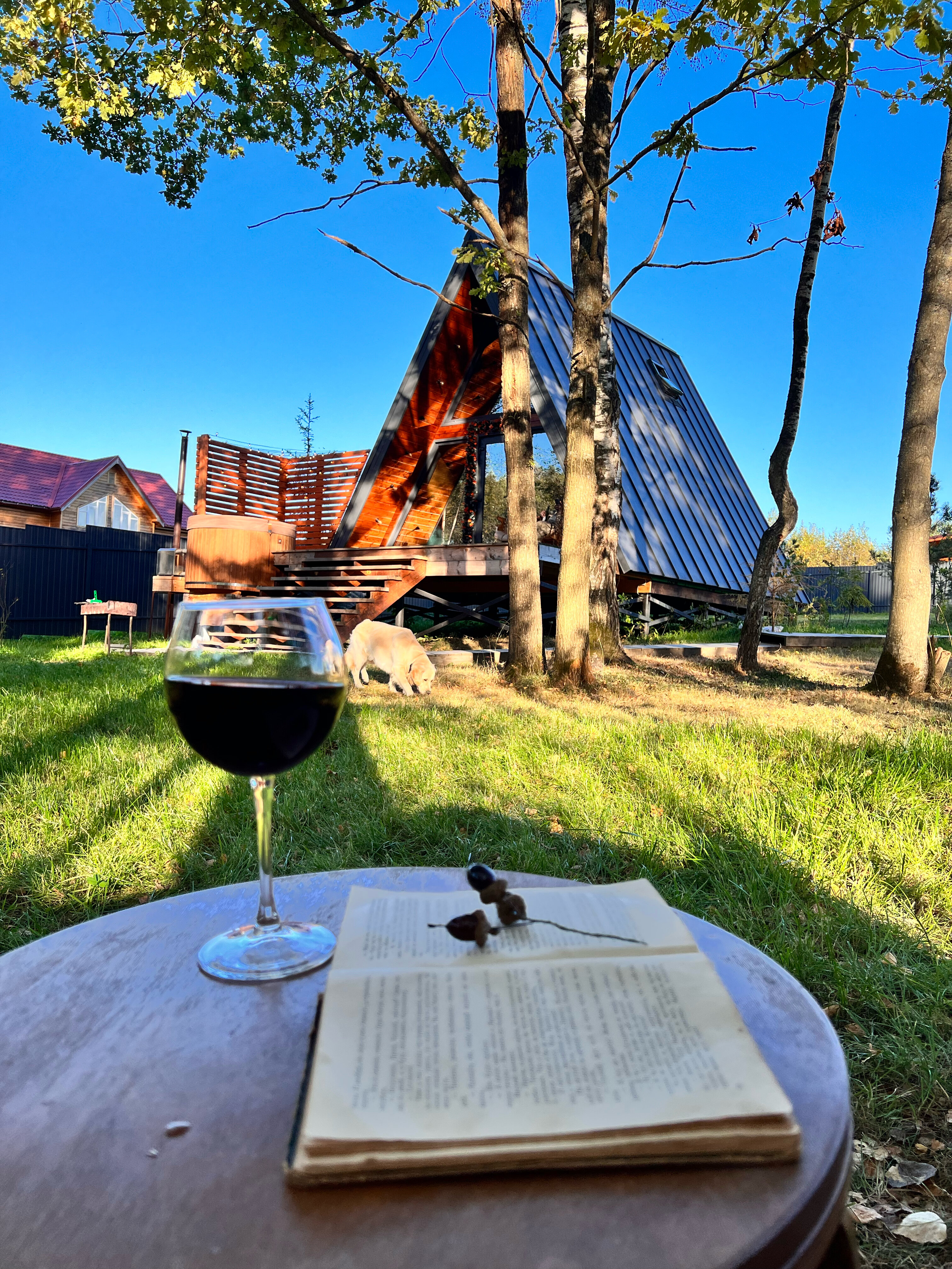 Фото Ильинка лес