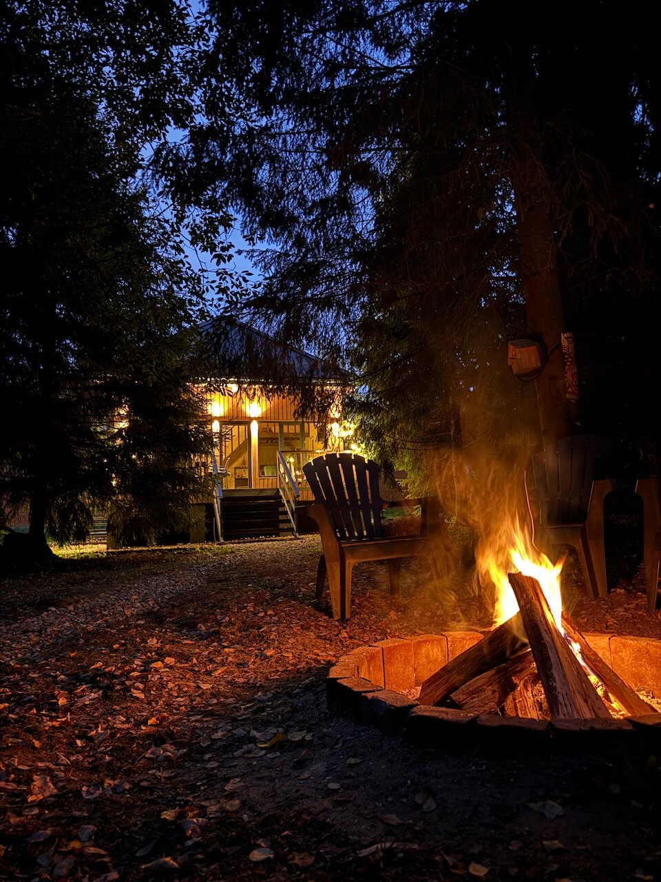 Фото Дом и Елки