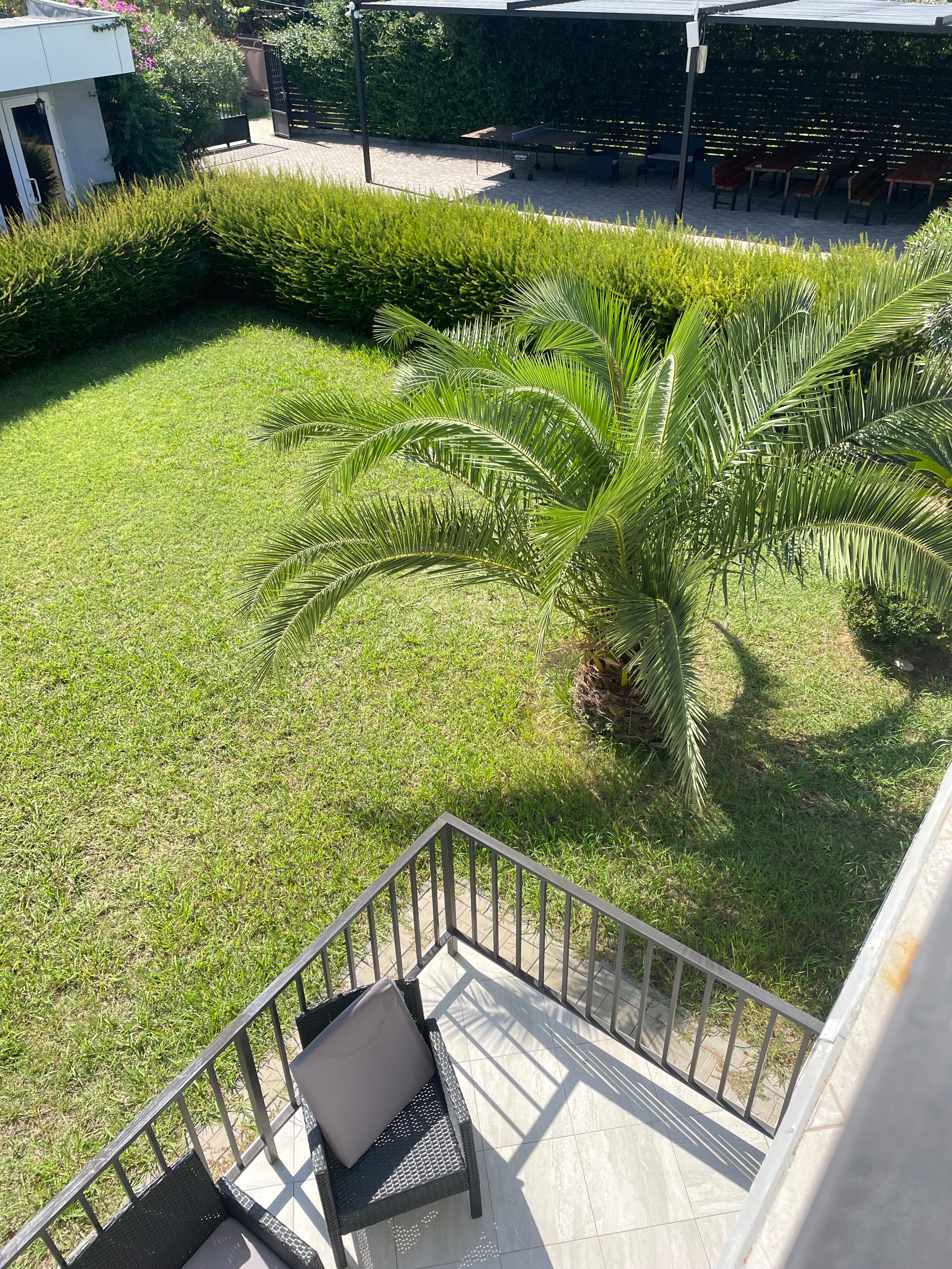 Фото Mandarin Hotel