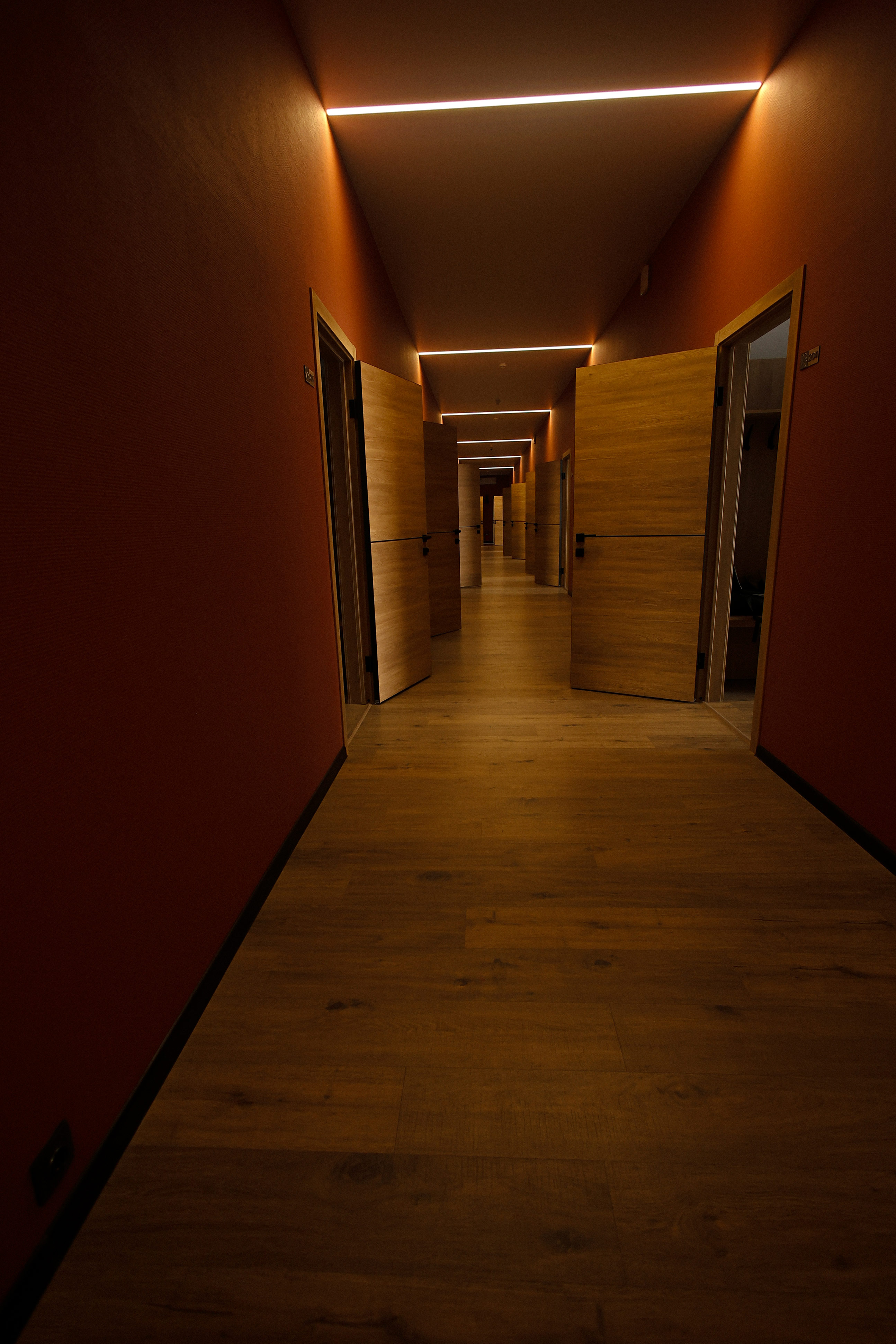 Фото Голден Норрис