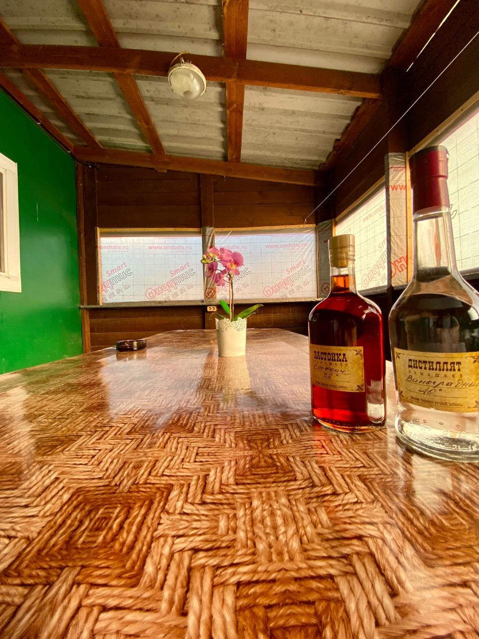 Фото Тортуга