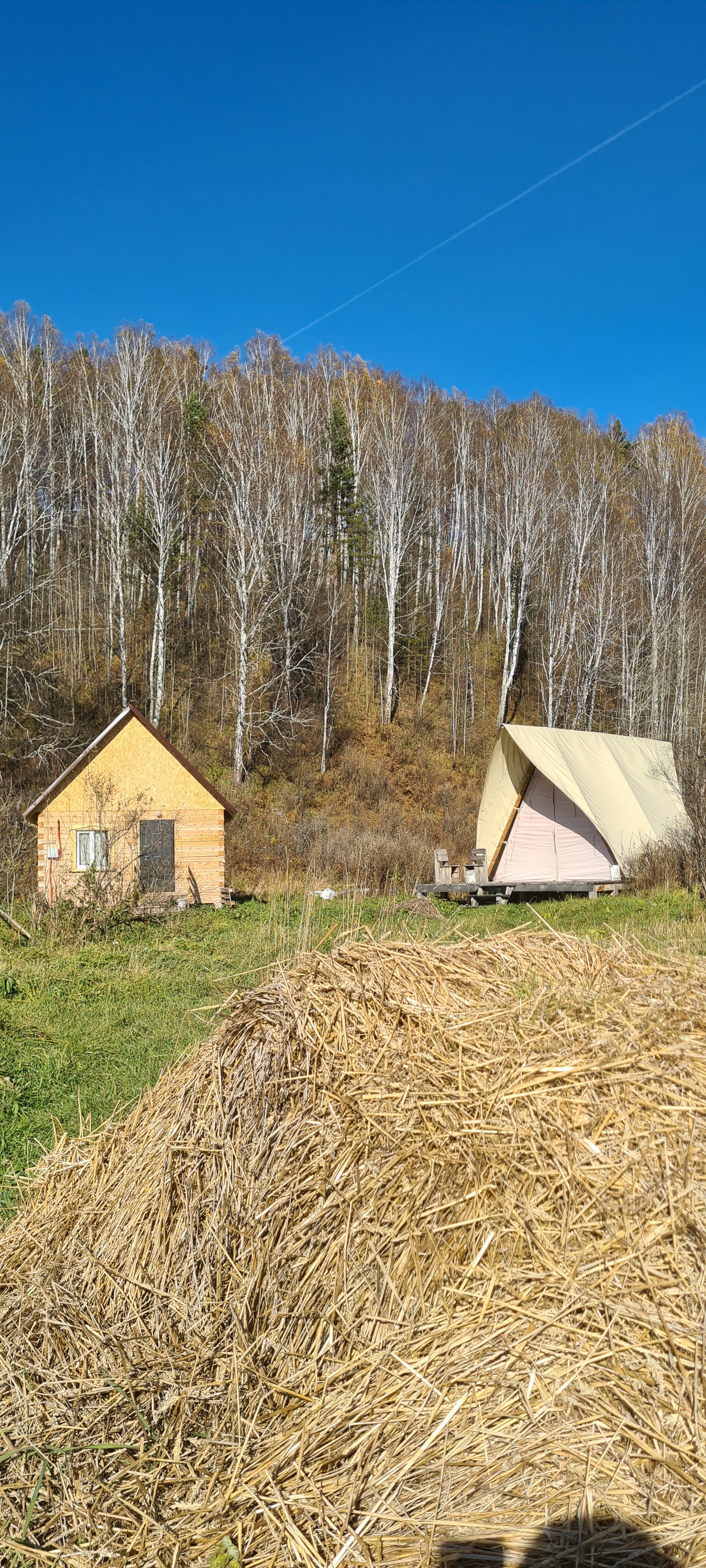 Фото Глэмпинг Стрекоза