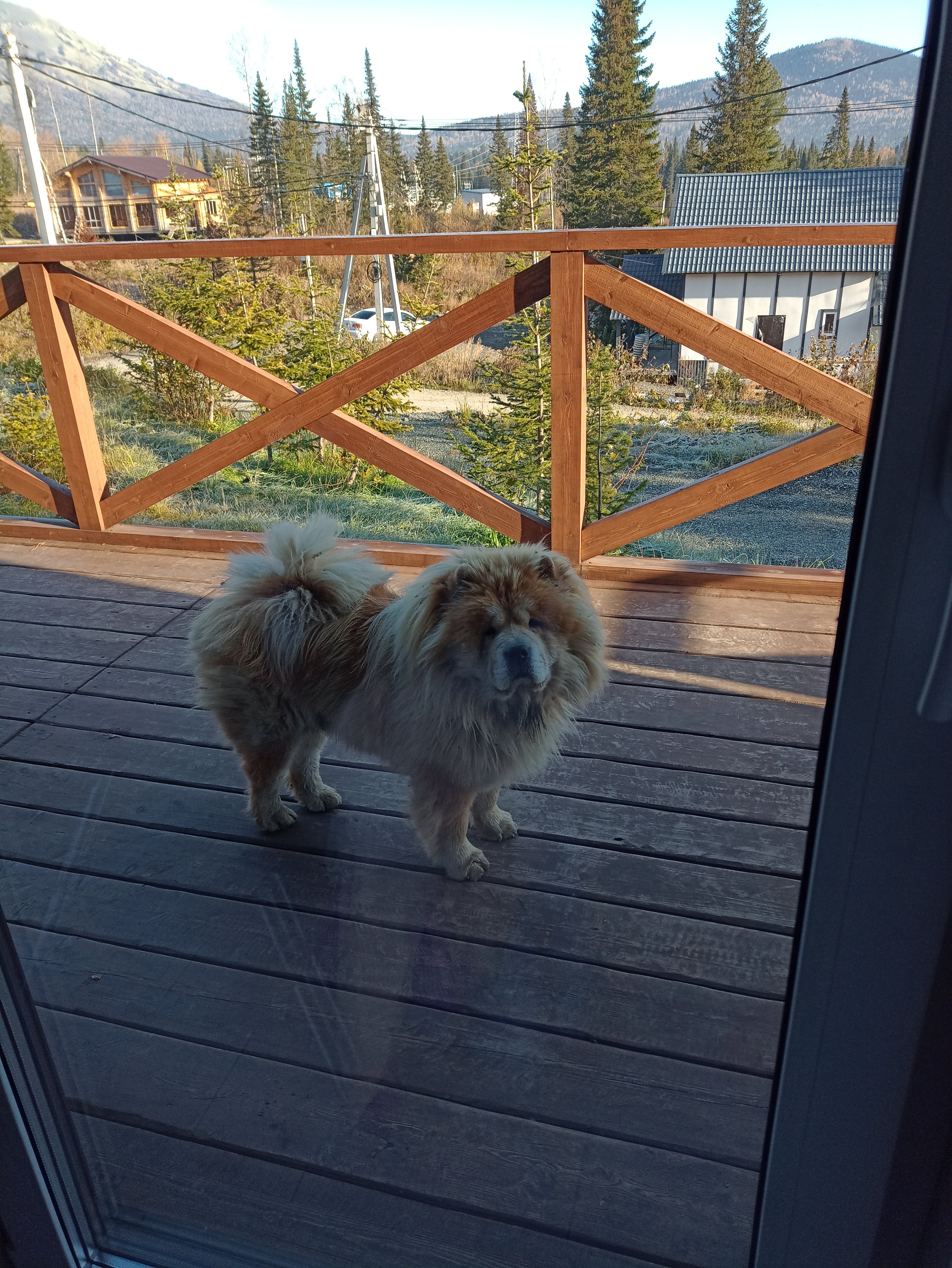 Фото Аура Гор