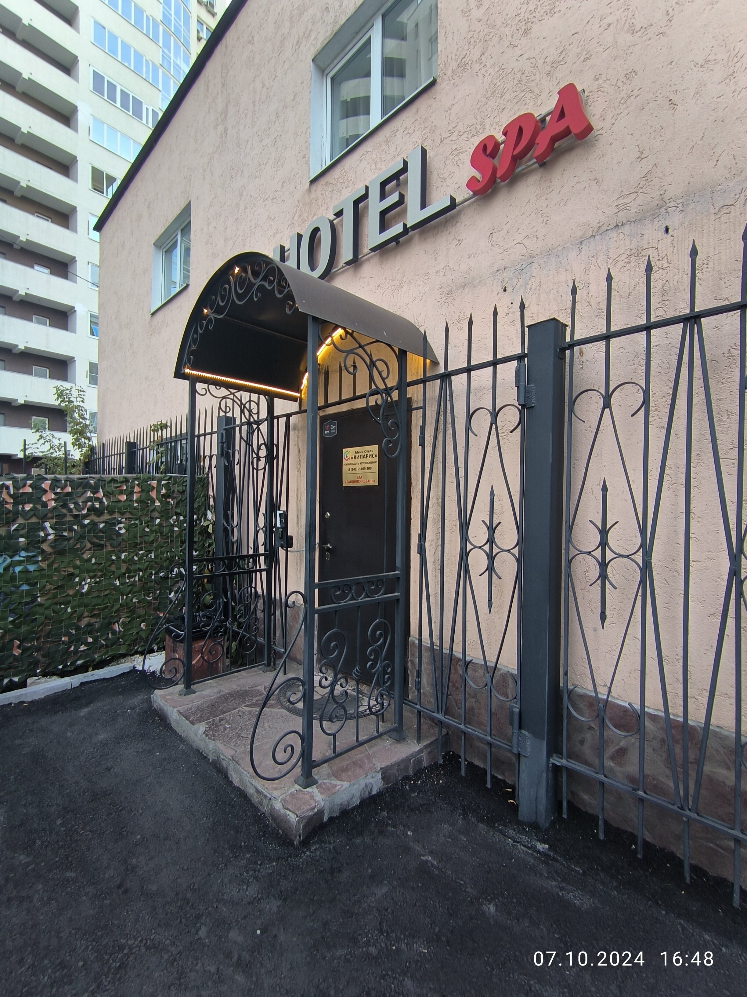 Фото Кипарис