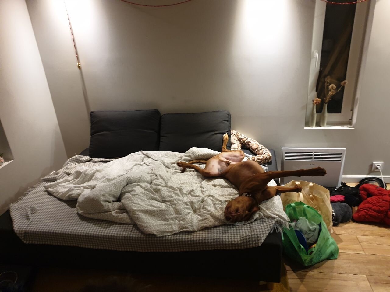 Фото Домики в поле