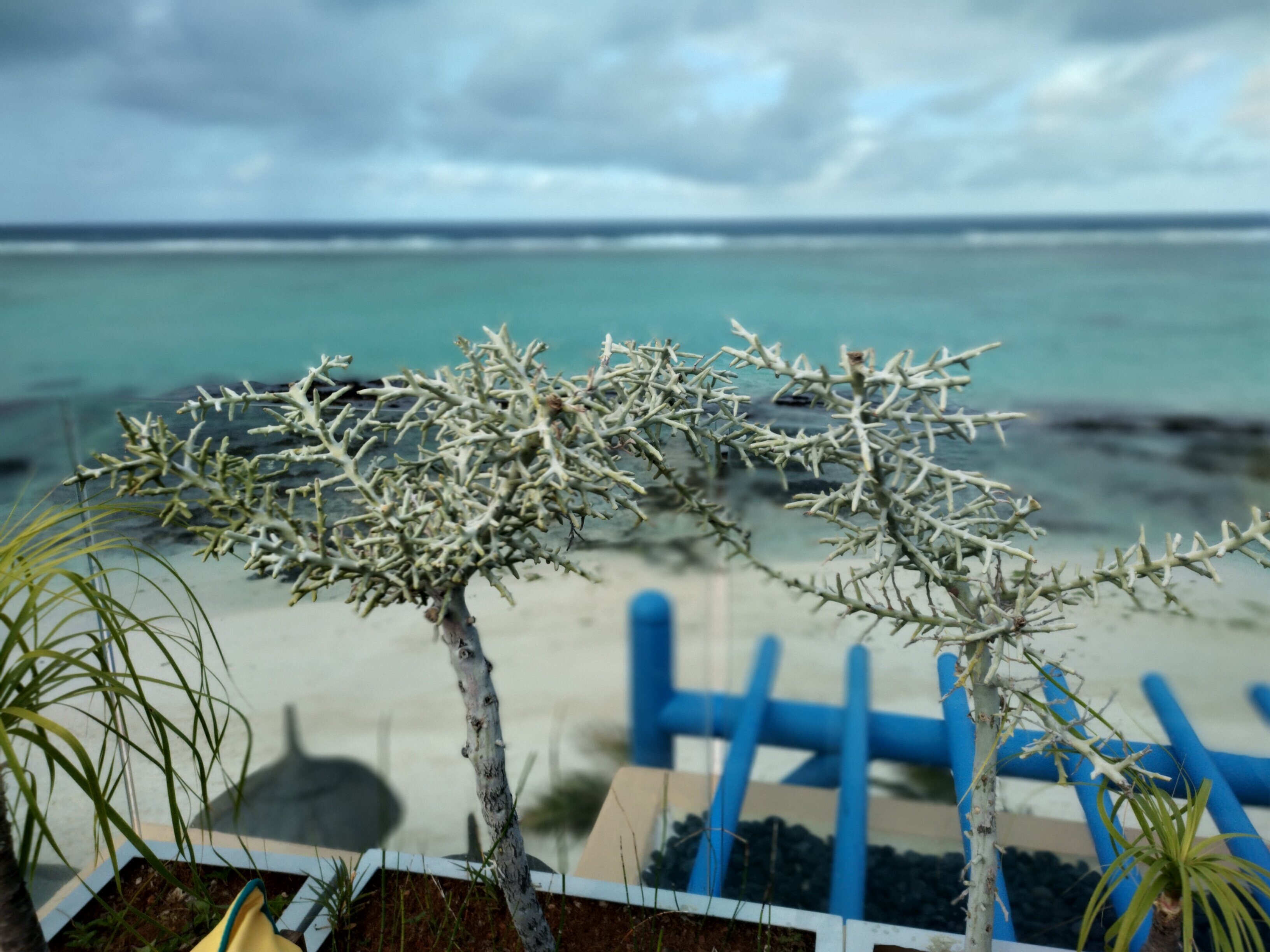 Фото Salt of Palmar, Mauritius, a Member of Design Hotels